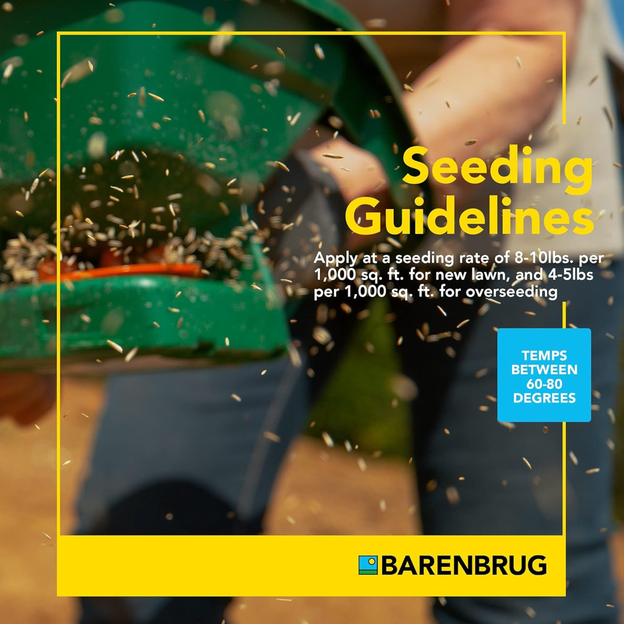 Barenbrug Turf Star RPR Perennial Ryegrass Seed with Yellow Jacket Coating, 25lb