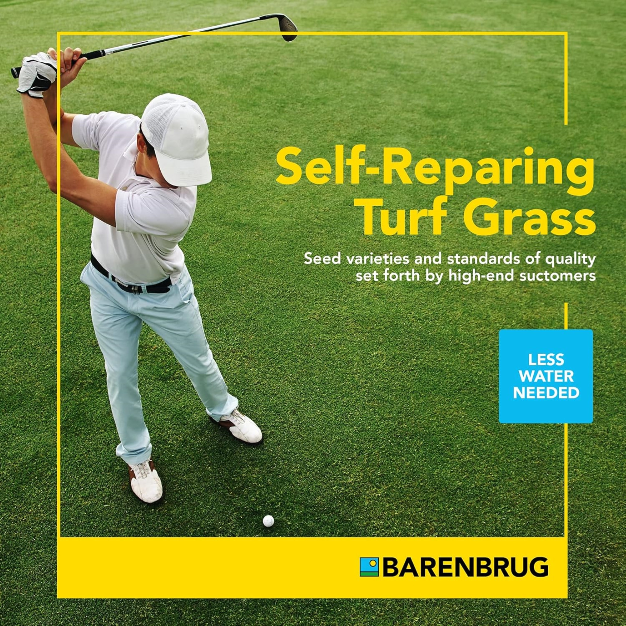 Barenbrug Turf Star RPR Perennial Ryegrass Seed with Yellow Jacket Coating, 25lb