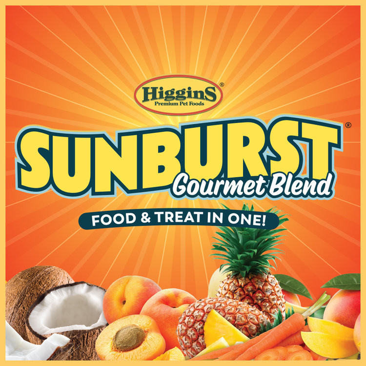 Higgins Sunburst Gourmet Blend Macaw Bird Food, 3lbs