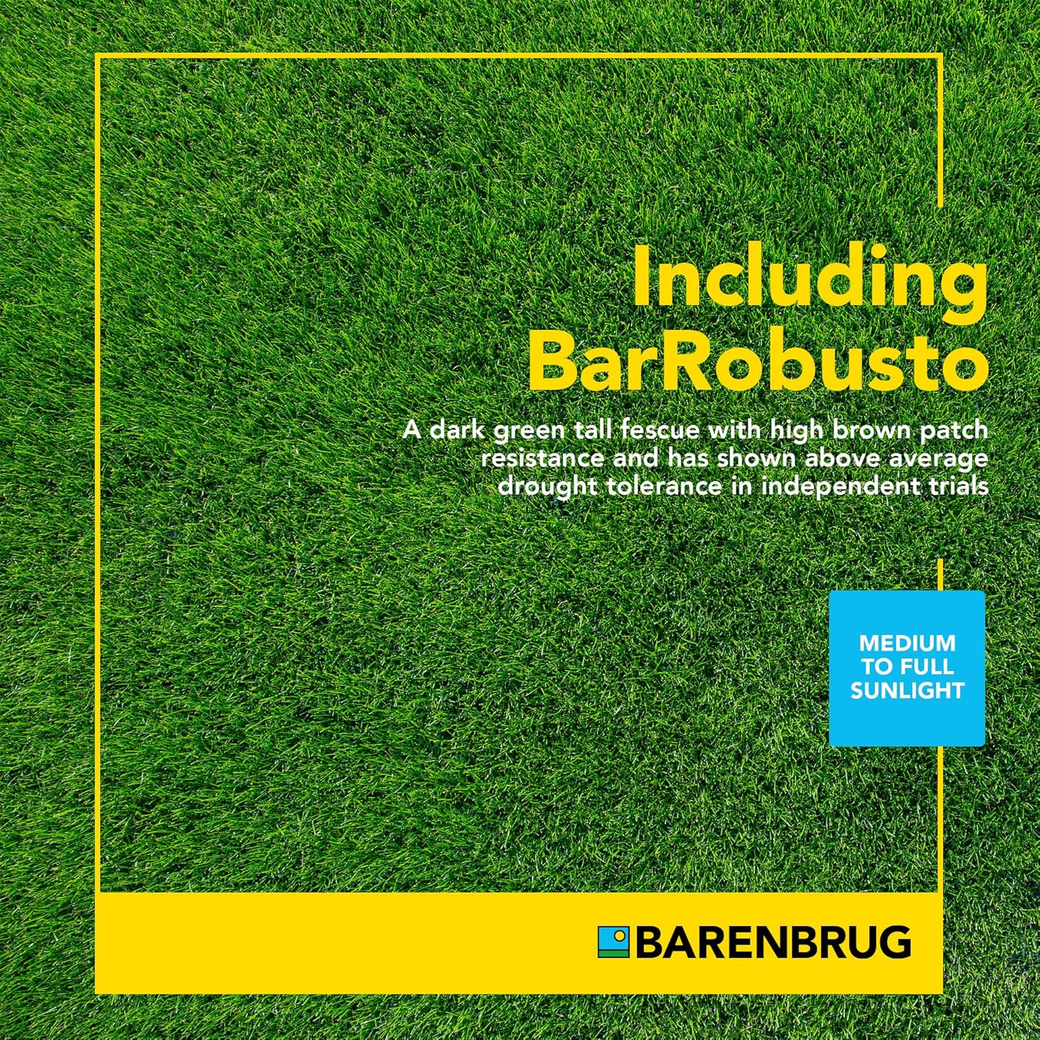 Barenbrug Turf Savor RTF Grass Seed Blend with Yellow Jacket Seed Coating, 10lb