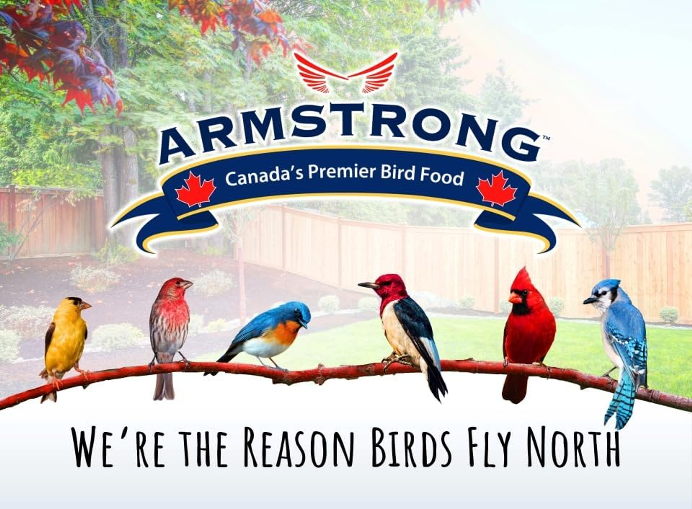 Armstrong Wild Bird Food Royal Jubilee Persistence Granola Stack, 7.05oz