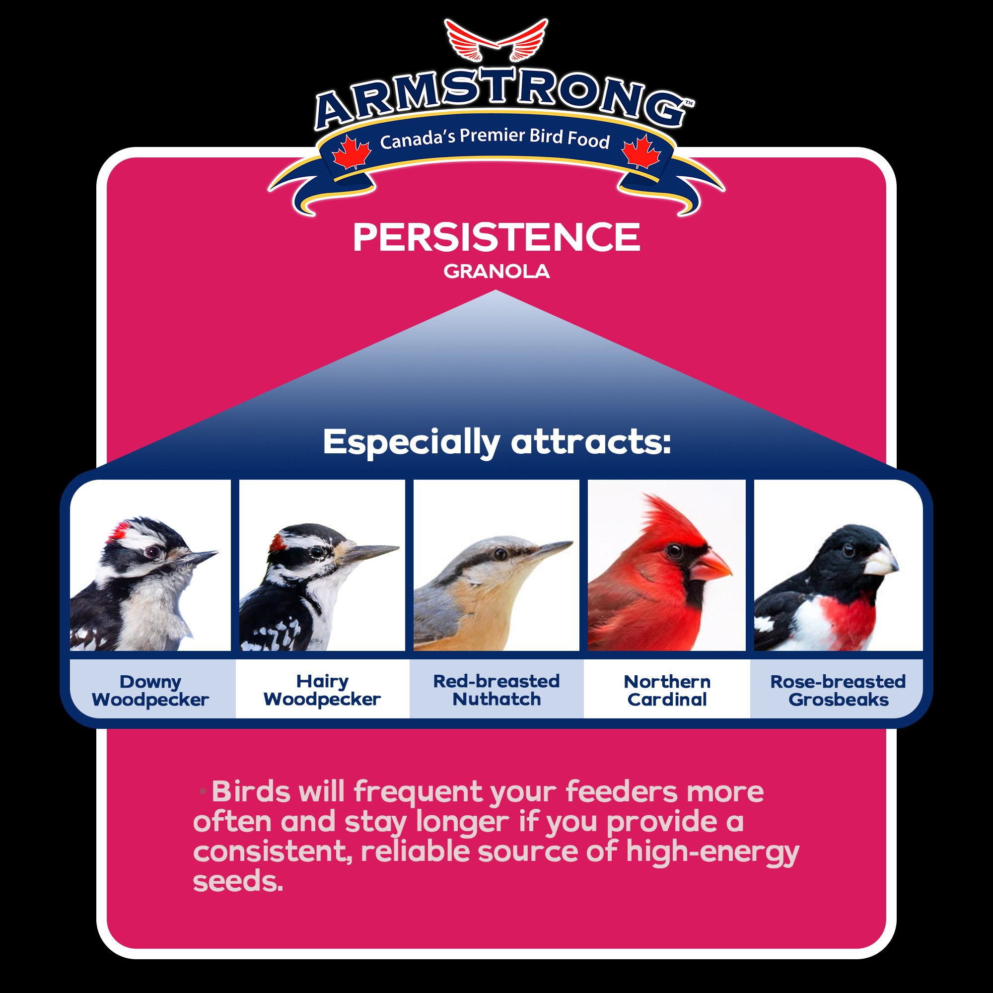 Armstrong Wild Bird Food Royal Jubilee Persistence Granola Stack, 7.05oz