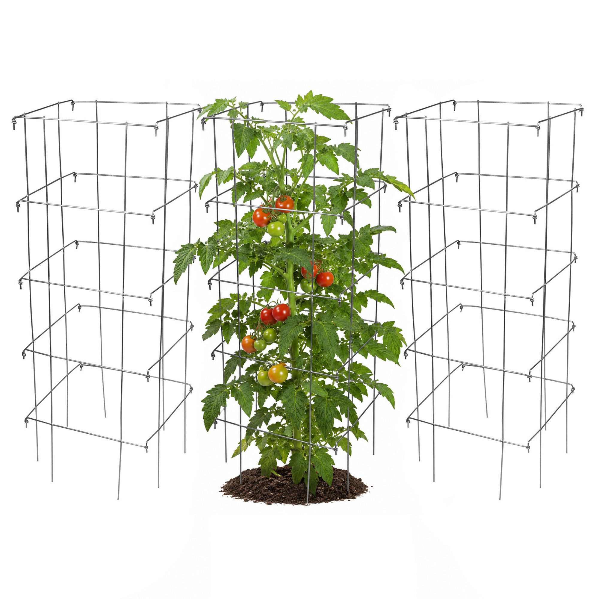Garden Elements Square 8-Leg Heavy-Duty Collapsible Tomato Cages, 40in H (Pack of 3)