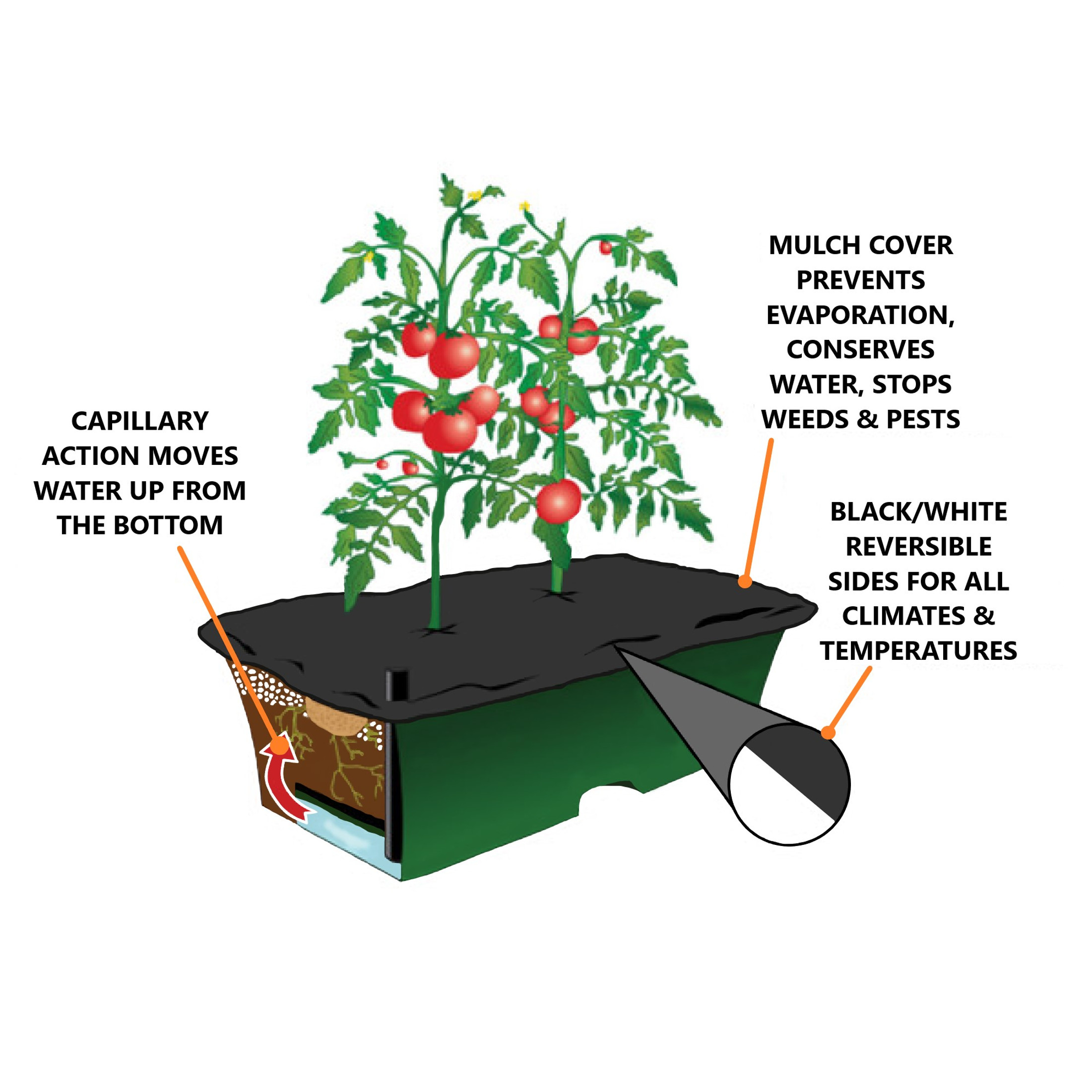 EarthBox Reversible Plastic Weed-Preventing Mulch Cover for Planters, Black/White (Pack of 2)