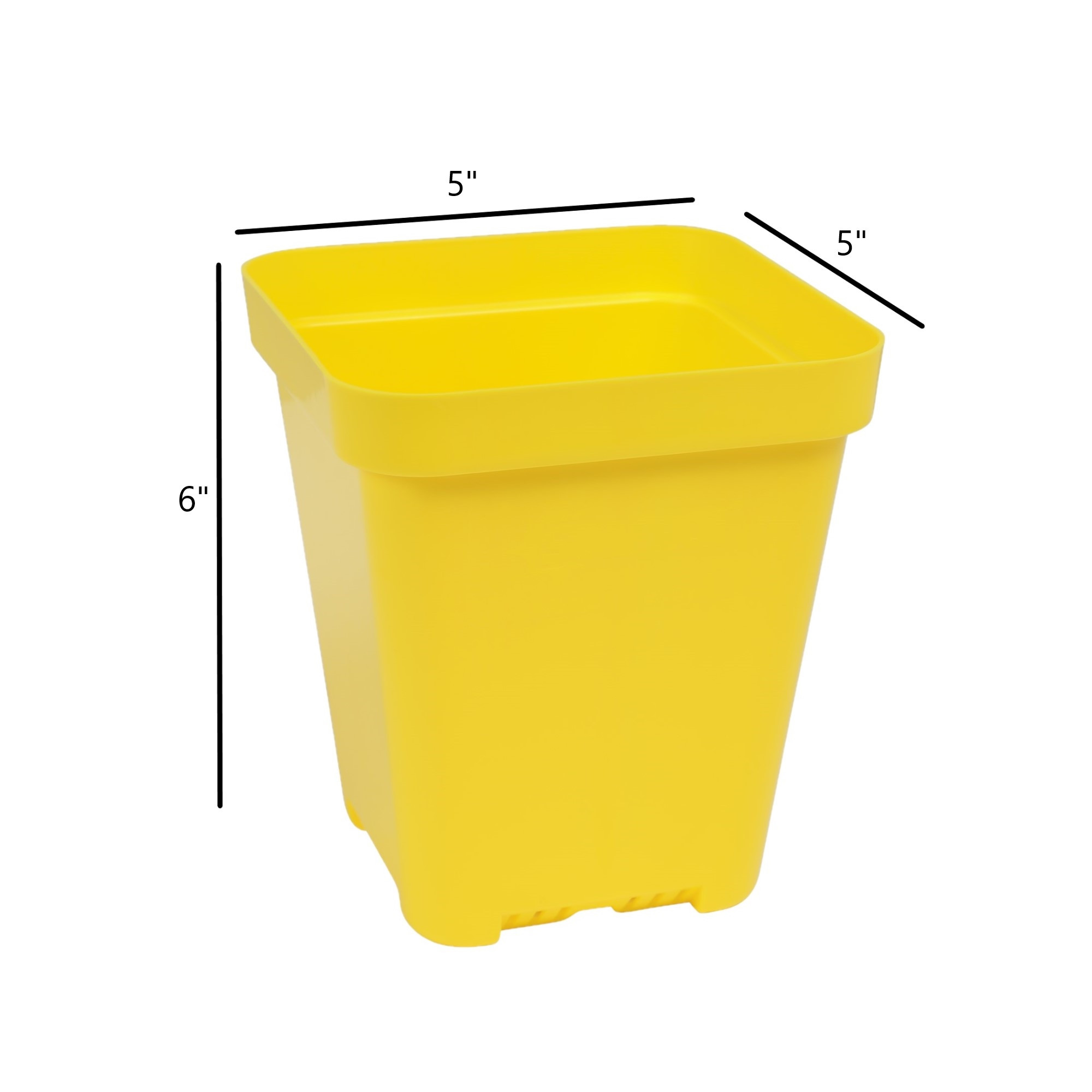 SUNPACK 5" x 5" Heavy Duty Seed Starting Square Insert Pot, 6" (Pack of 8)