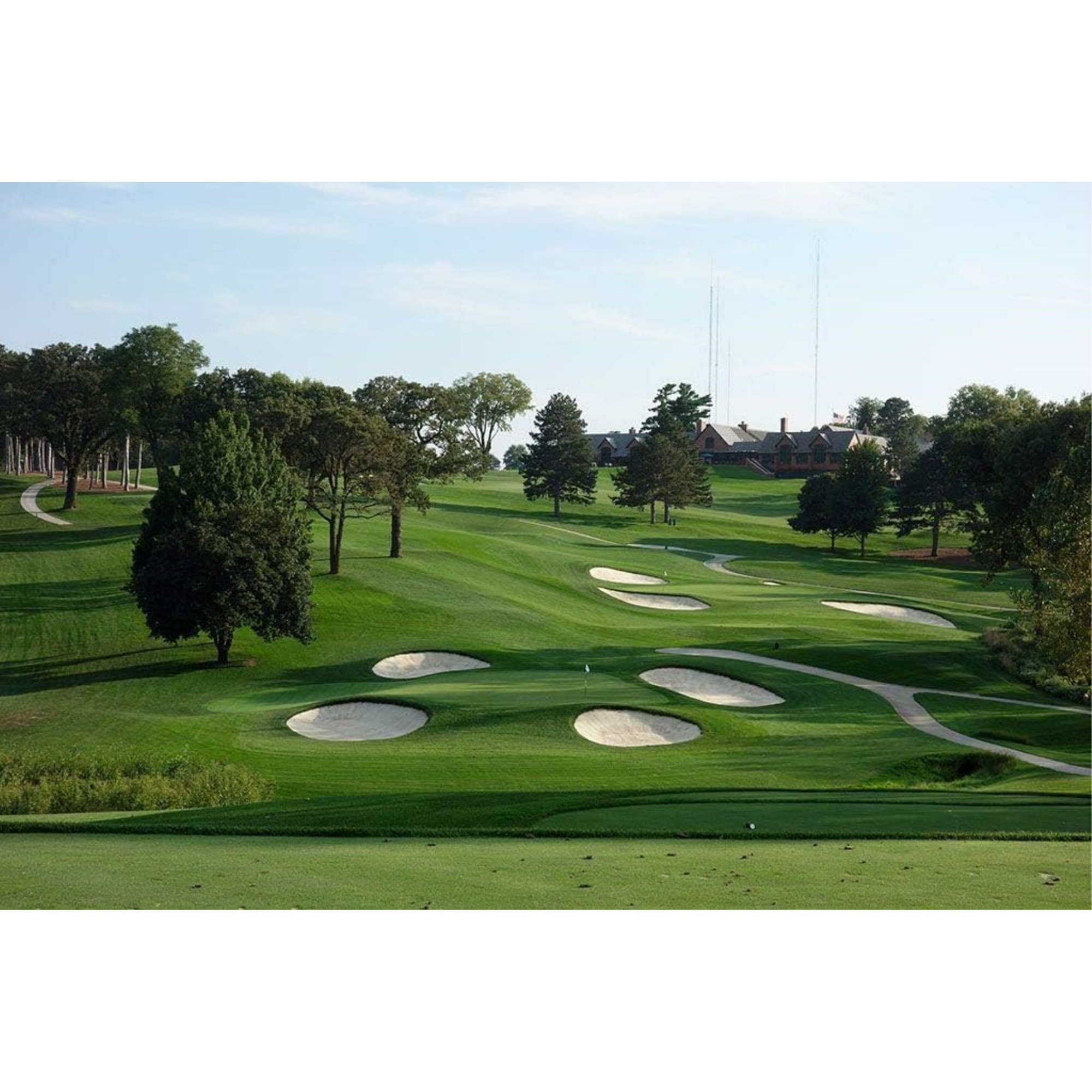 Barenbrug Turf Savor RTF Grass Seed Blend with Yellow Jacket Seed Coating, 25lb