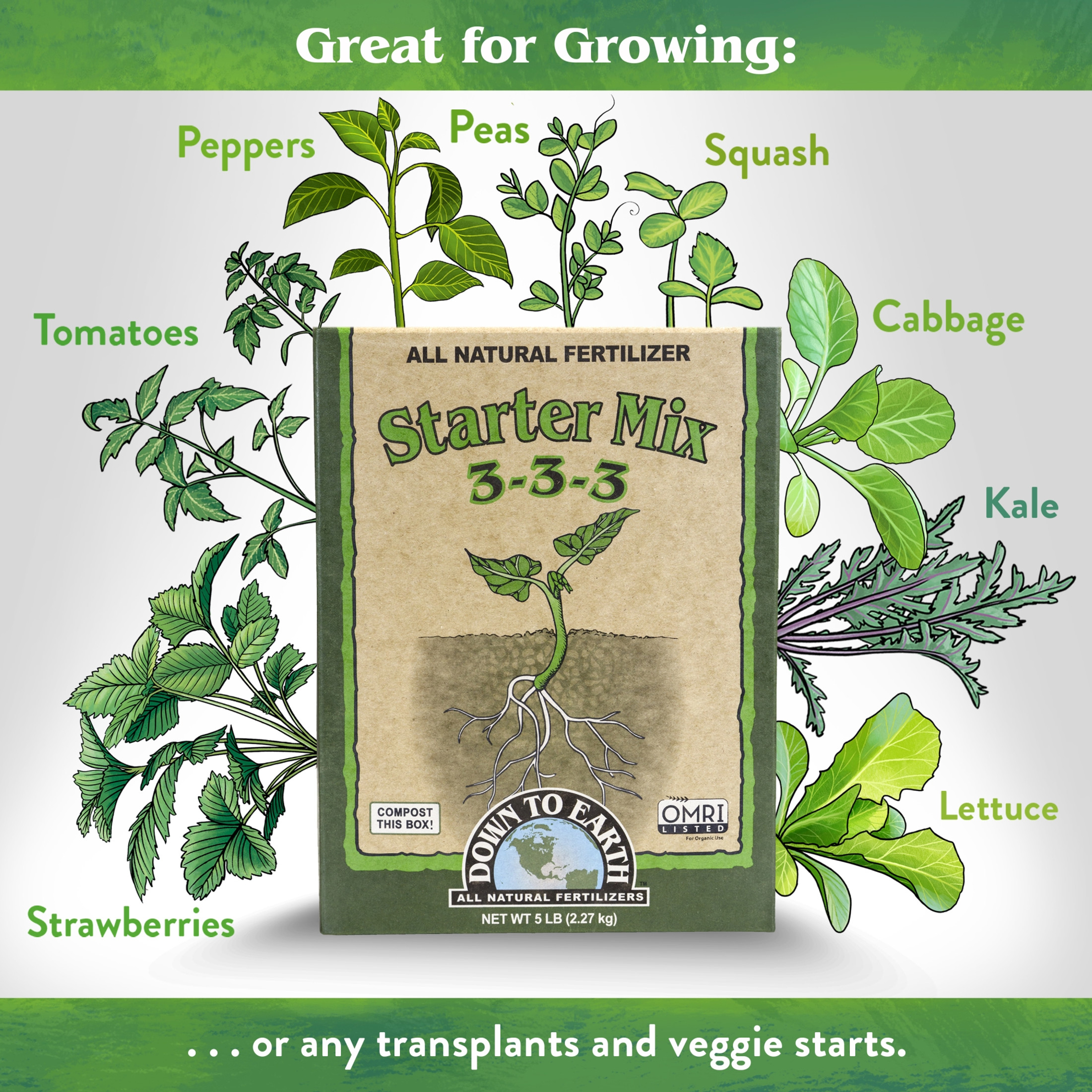 Down to Earth 3-3-3 Starter Mix Fertilizer, Granules, 1 lb