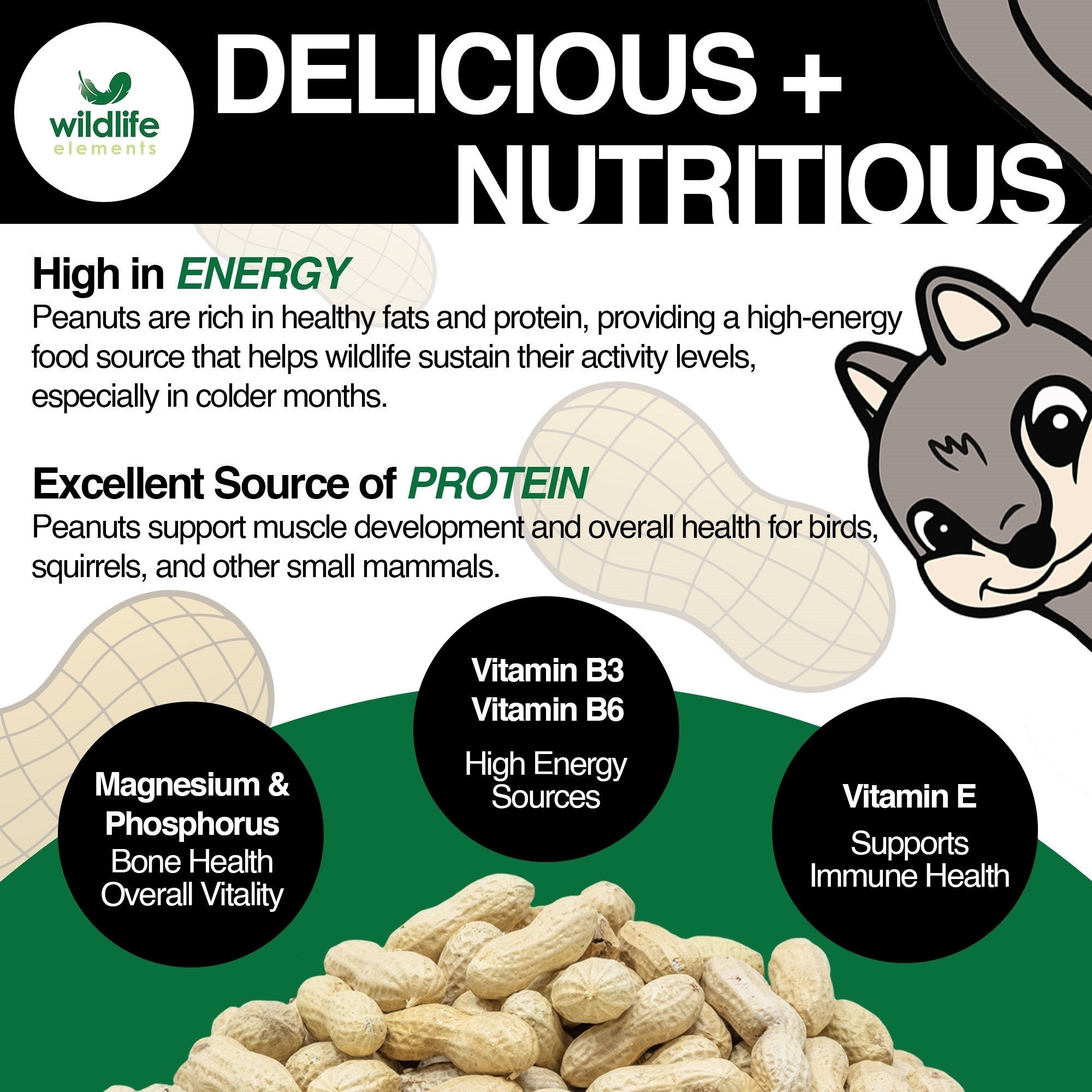 Wildlife Elements Peanut Party Raw In-Shell Peanuts – Natural, Nutrient-Rich Wildlife Food for Birds, Squirrels & Waterfowl, 10lb