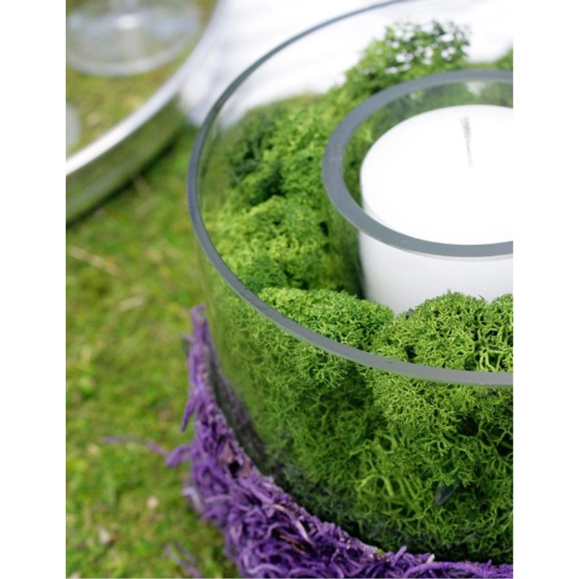 SuperMoss Preserved Reindeer Moss – Soft, Eco-Friendly Decorative Moss for Terrariums, Floral Arrangements, Forest Green, 2 oz