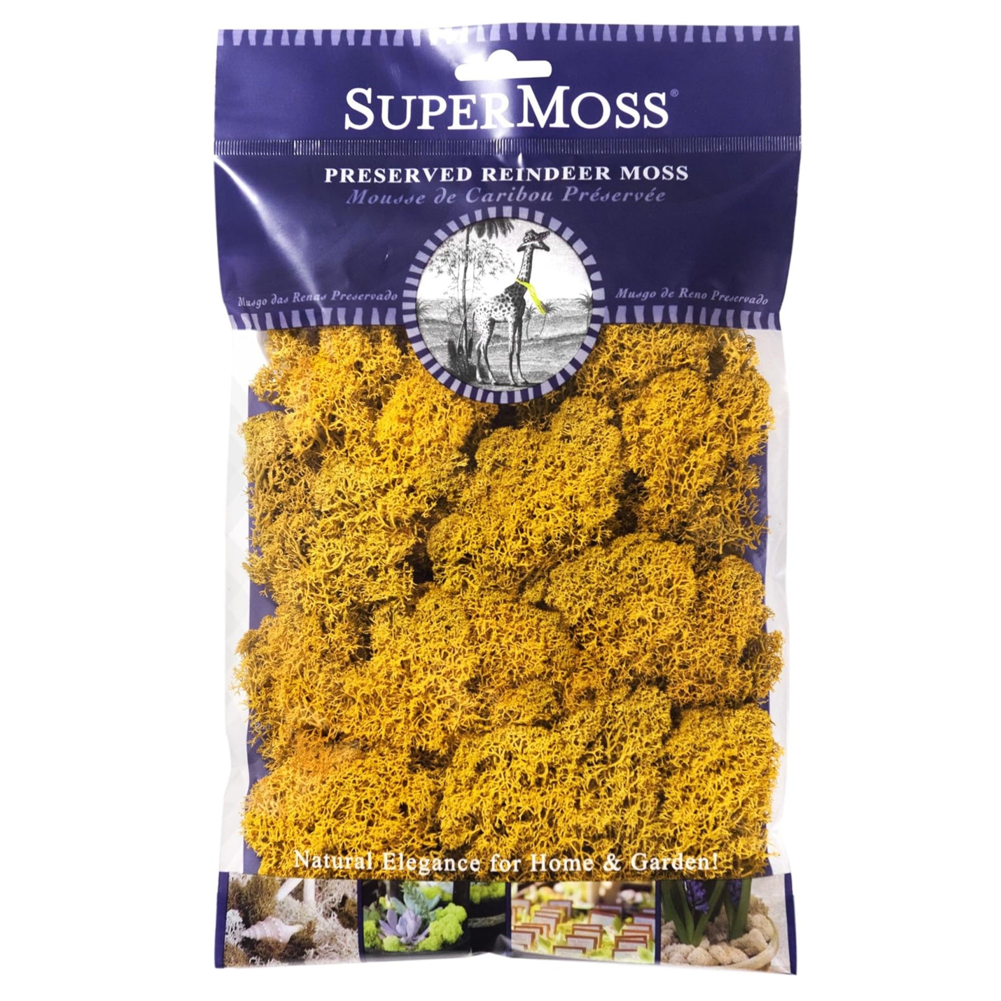 SuperMoss Preserved Reindeer Moss, Mango, 2oz
