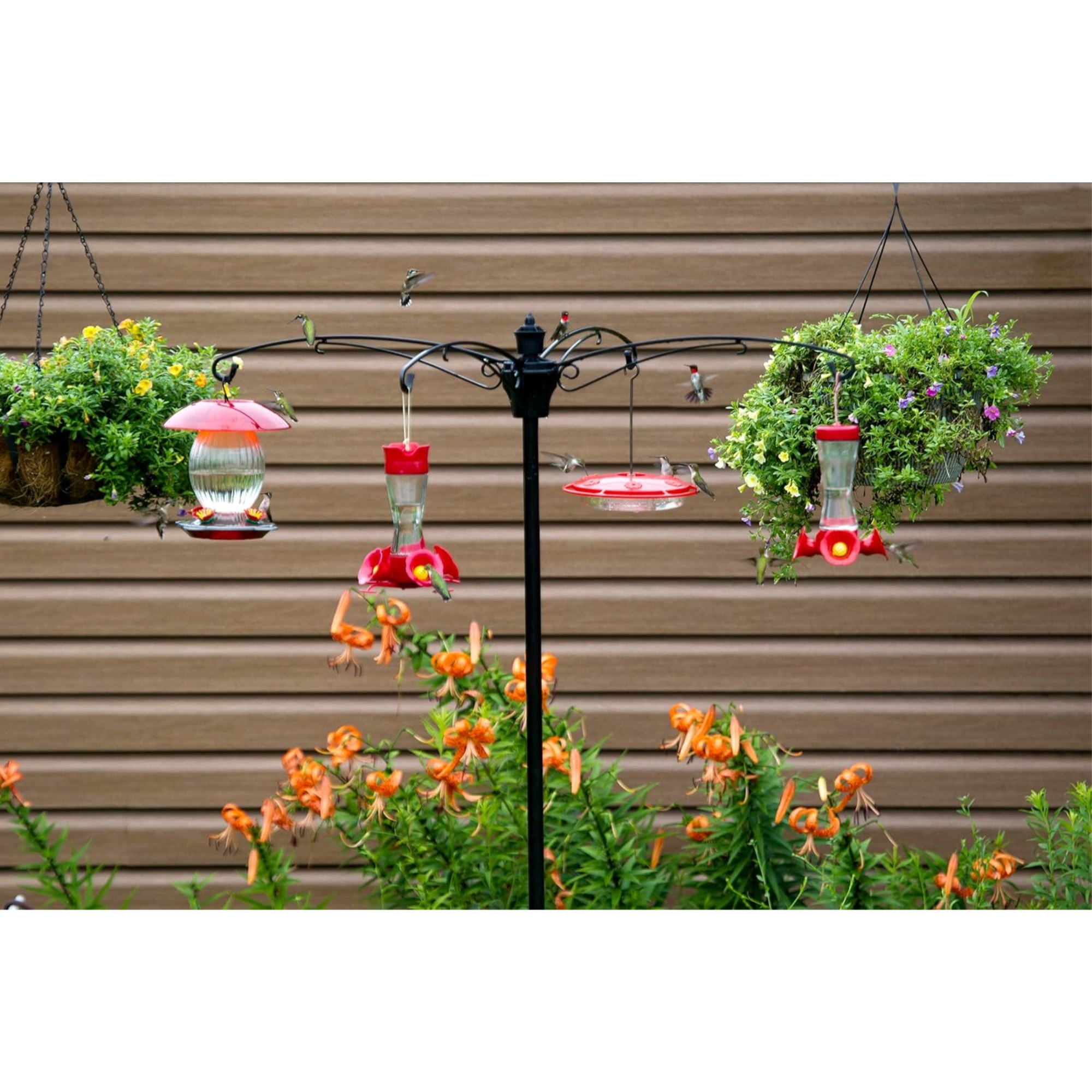 Brome BirdsUP Versa 4 Bird Feeder Pole Kit, 4-Arm Hanging Station, Black