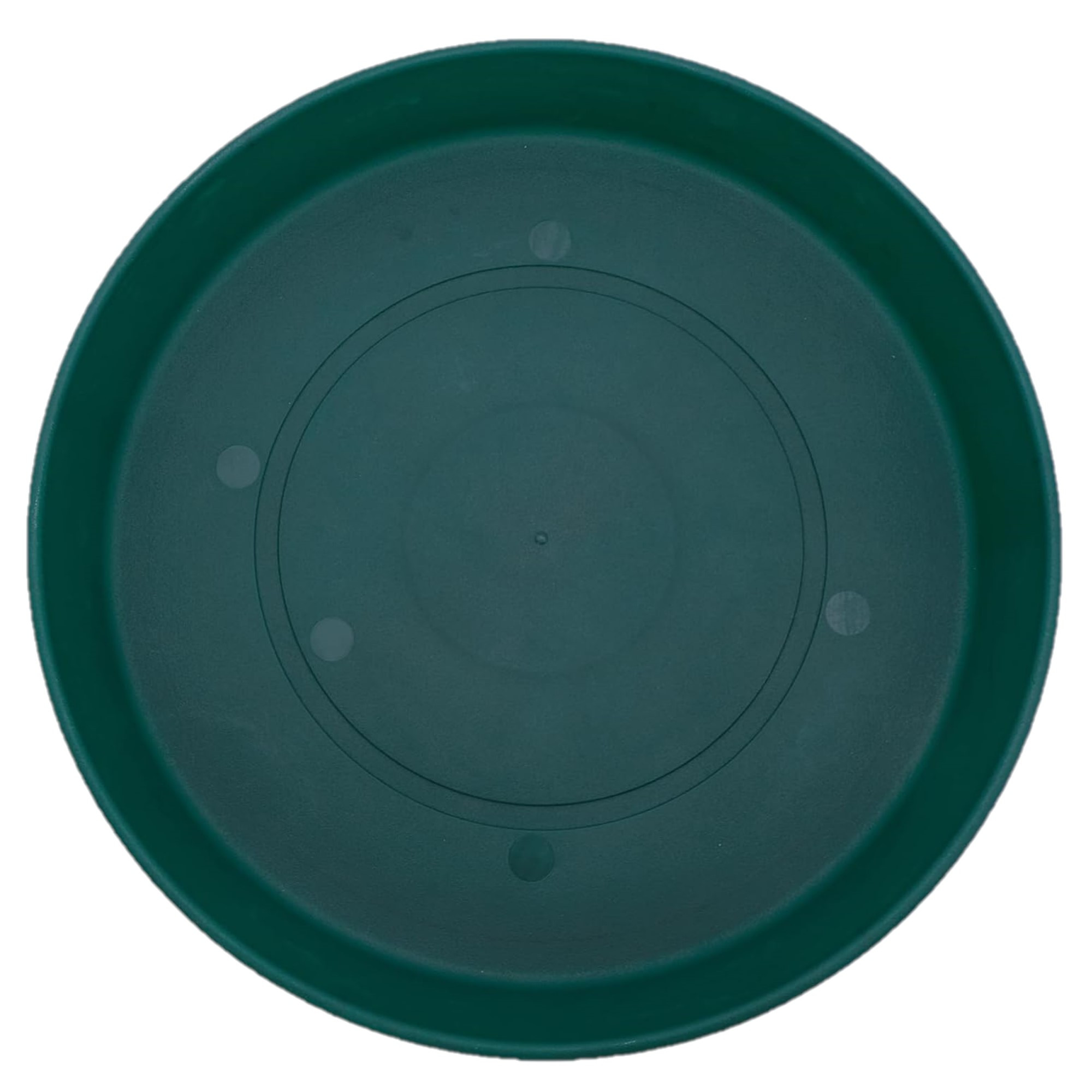 The HC Companies Classic Plastic Prima Plant Saucer, Evergreen, 8.5in
