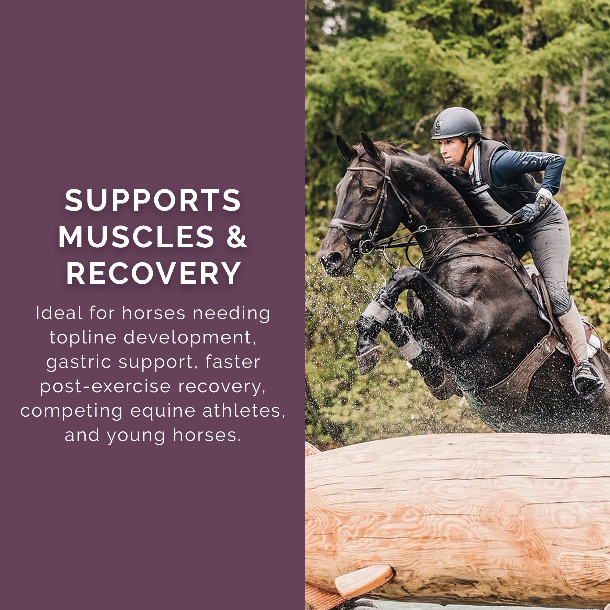 Pink Rose Organix PRO Series Achieve Performance Base Equine Feed, 40lbs