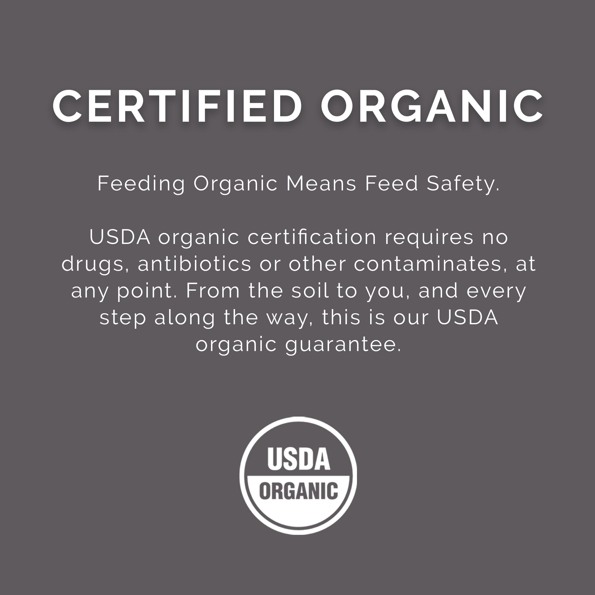 Pink Rose Organix PRO Series Elevate Body Builder Equine Feed, 30lbs