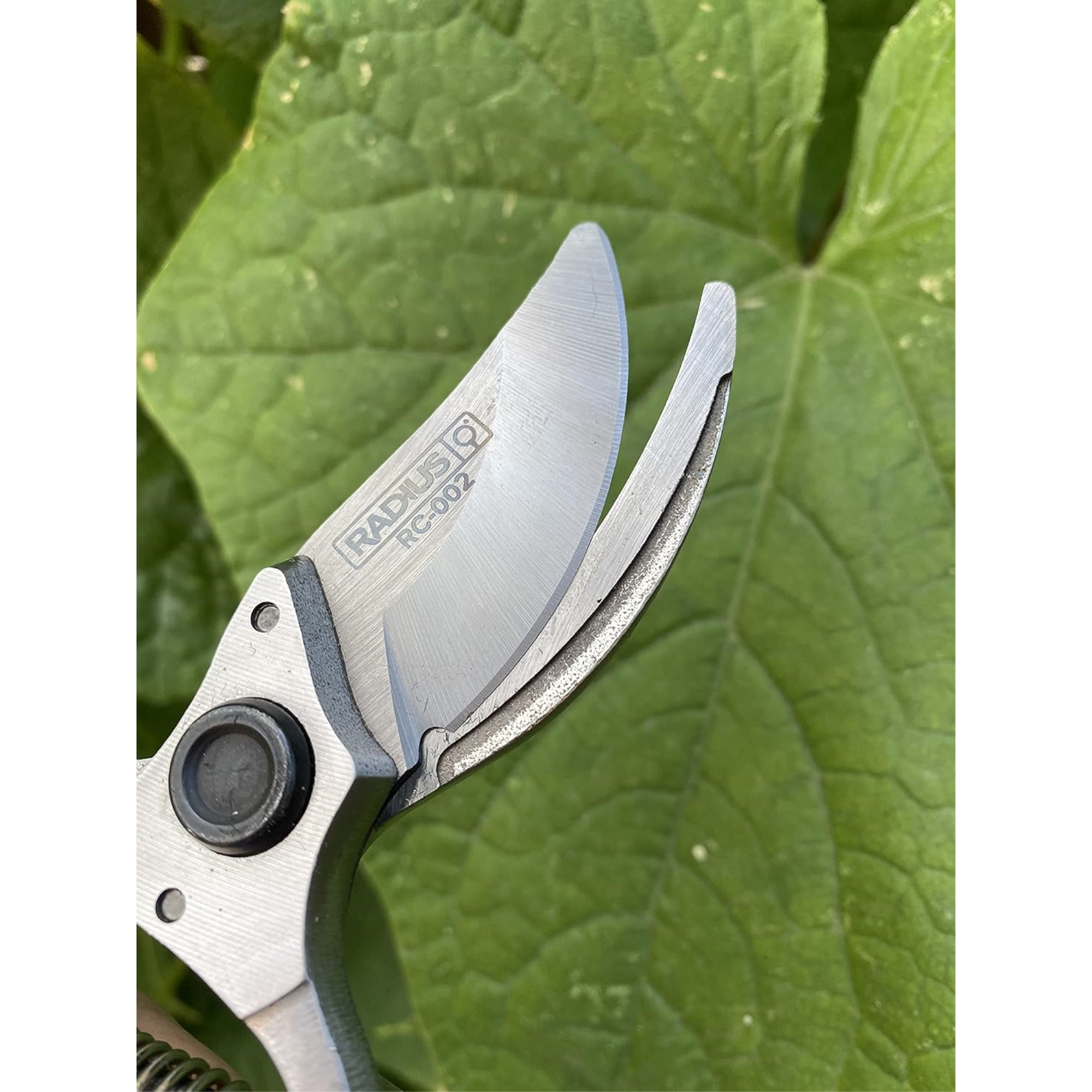 Radius Garden Carbon Steel Bypass Pruning Shears, 9in