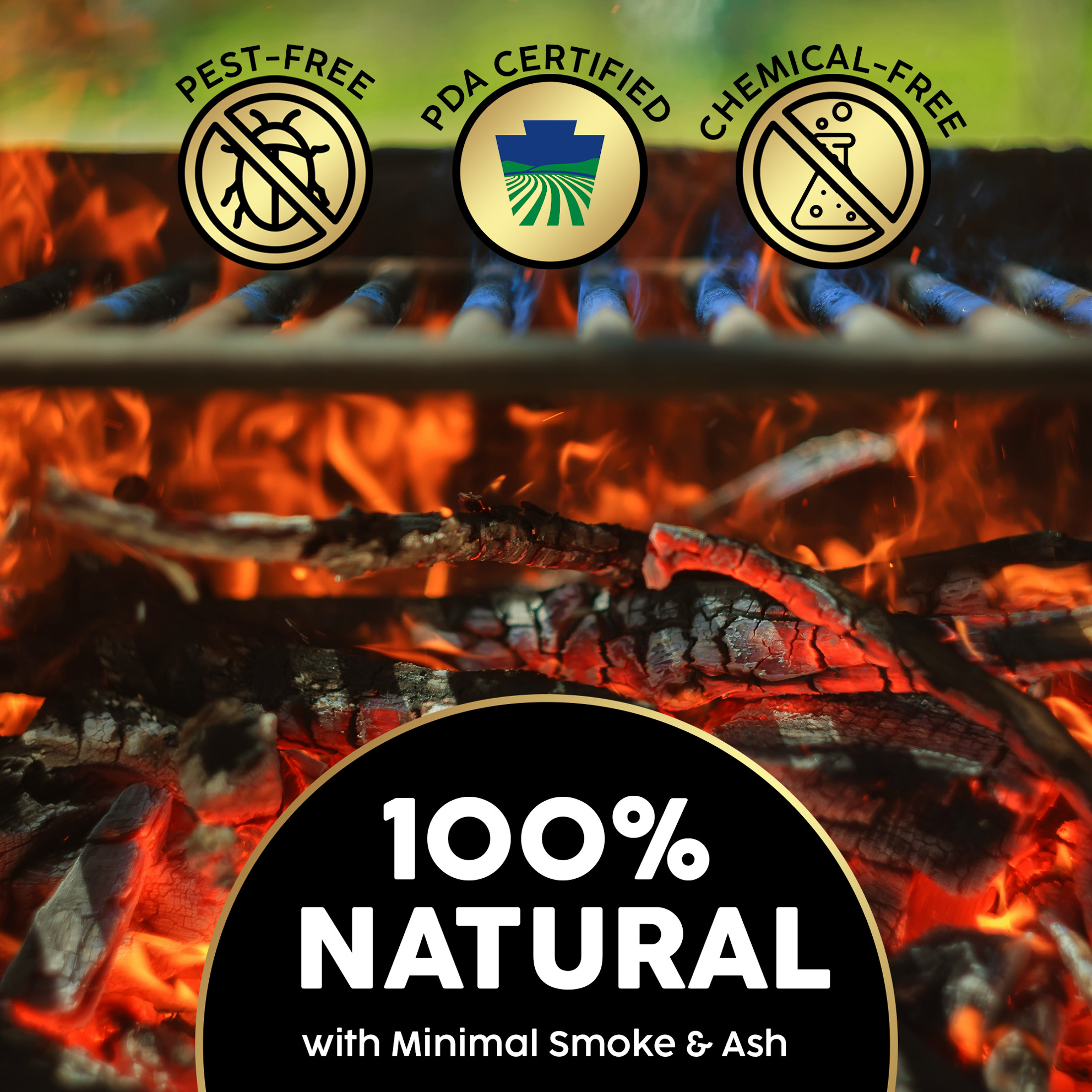 Firewood Central Kiln-Dried PA Hardwood – 8” Splits (30–35 Pieces) – Smoking Wood for Pizza Ovens, BBQ & Fire Pits – Easy Light, Low Smoke, USA Sourced