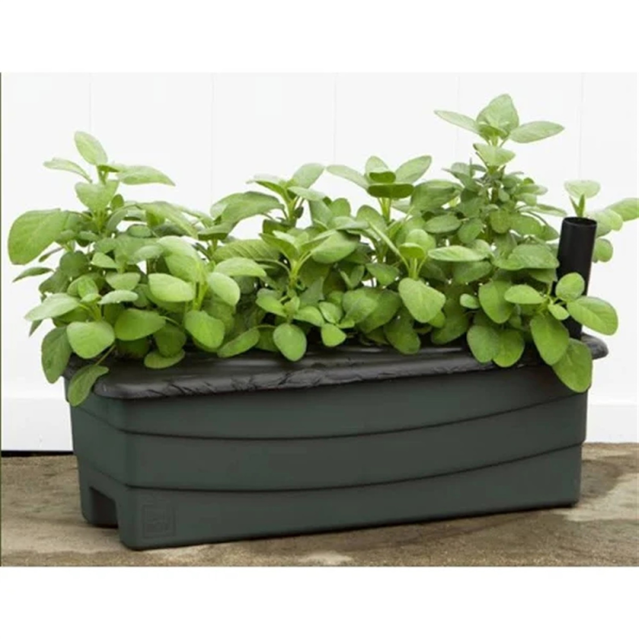 Novelty Plastic EarthBox Junior Garden Kit, Natural