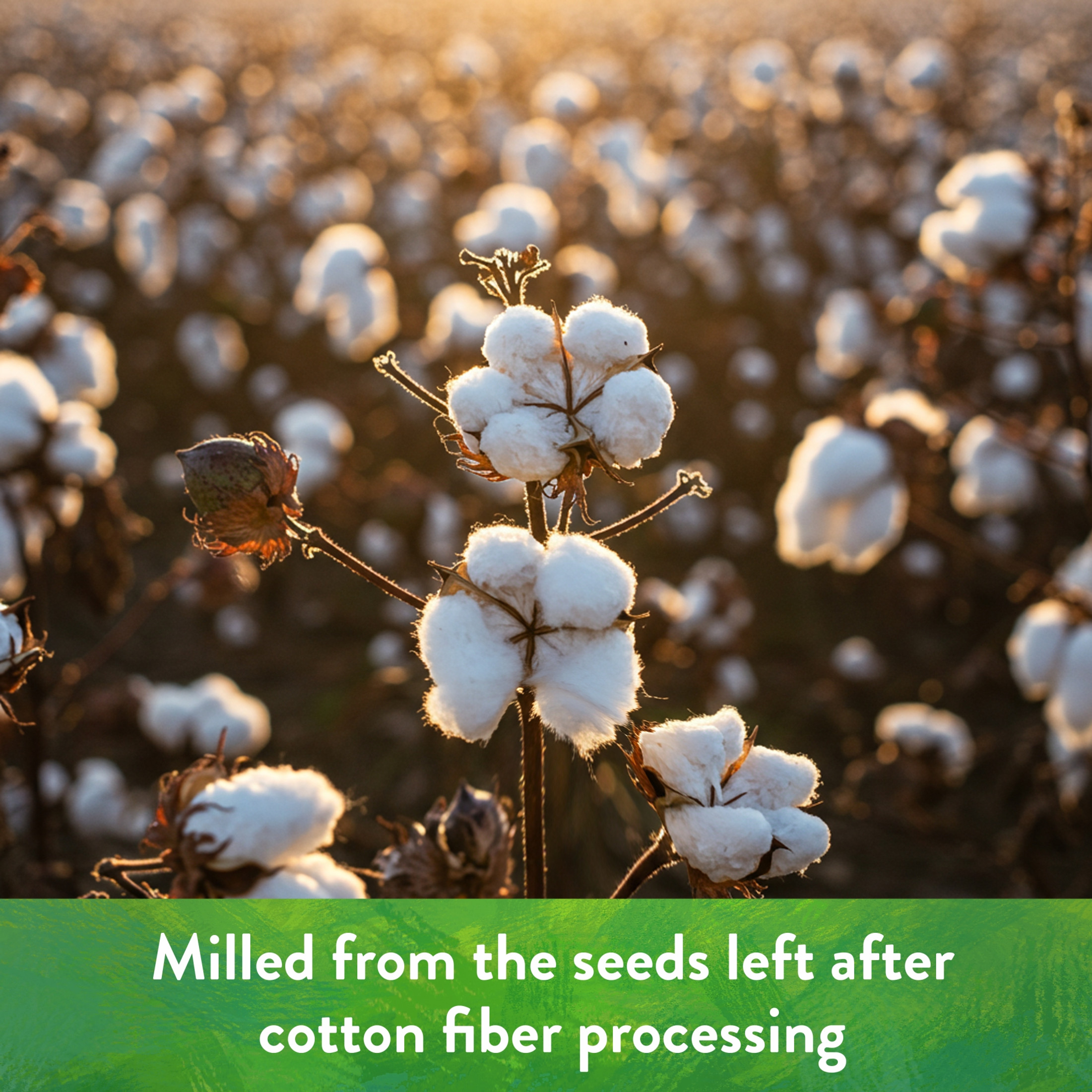 Down To Earth Cottonseed Meal 6-2-1 All-Natural Fertilizer