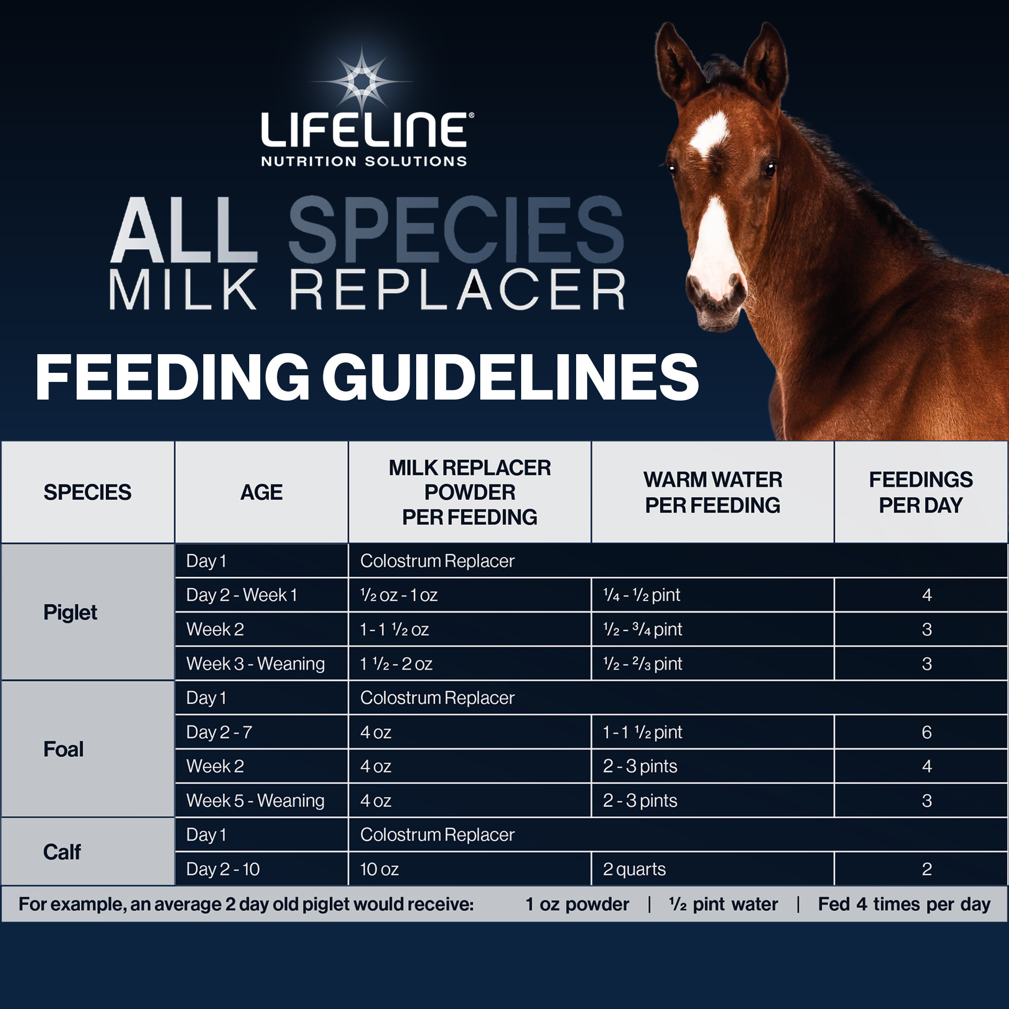 ANNUSO LIFELINE All Species Milk Replacer 20:20, 10lb Bag