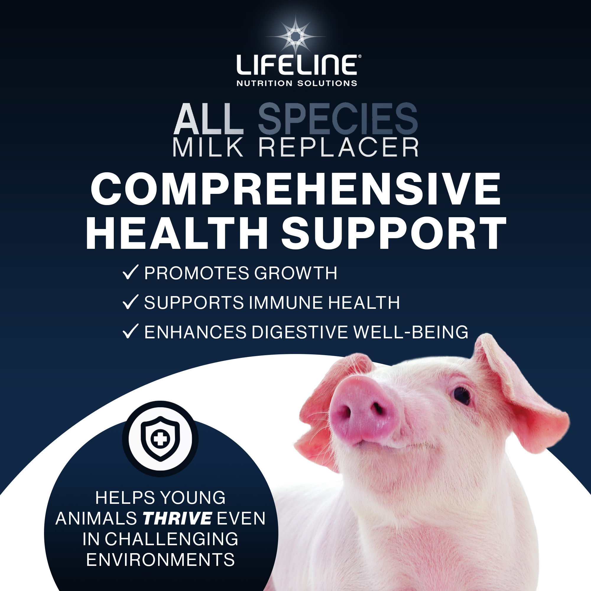 ANNUSO LIFELINE All Species Milk Replacer 20:20, 10lb Bag