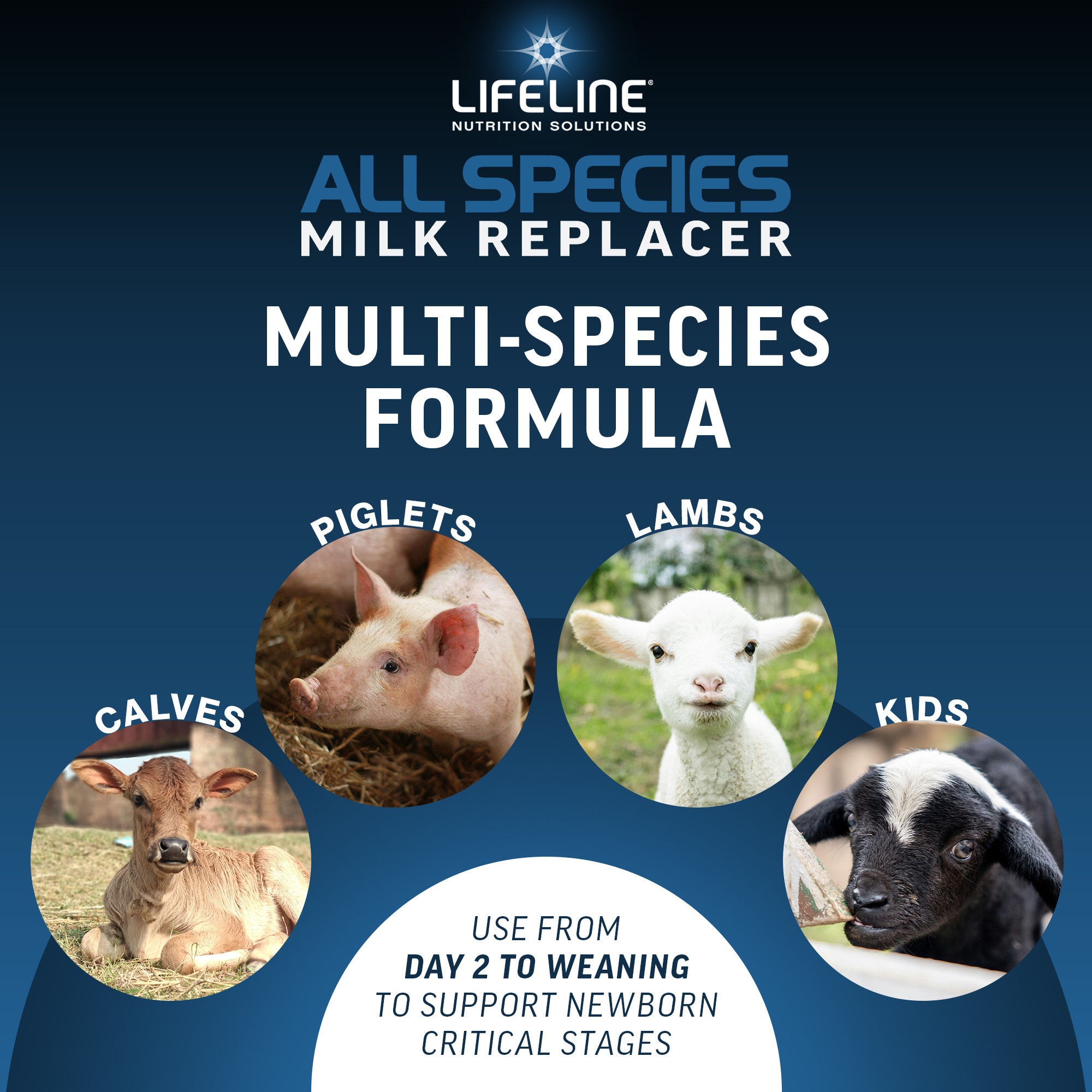 ANNUSO LIFELINE All Species Milk Replacer 23:21, 6lb Bag
