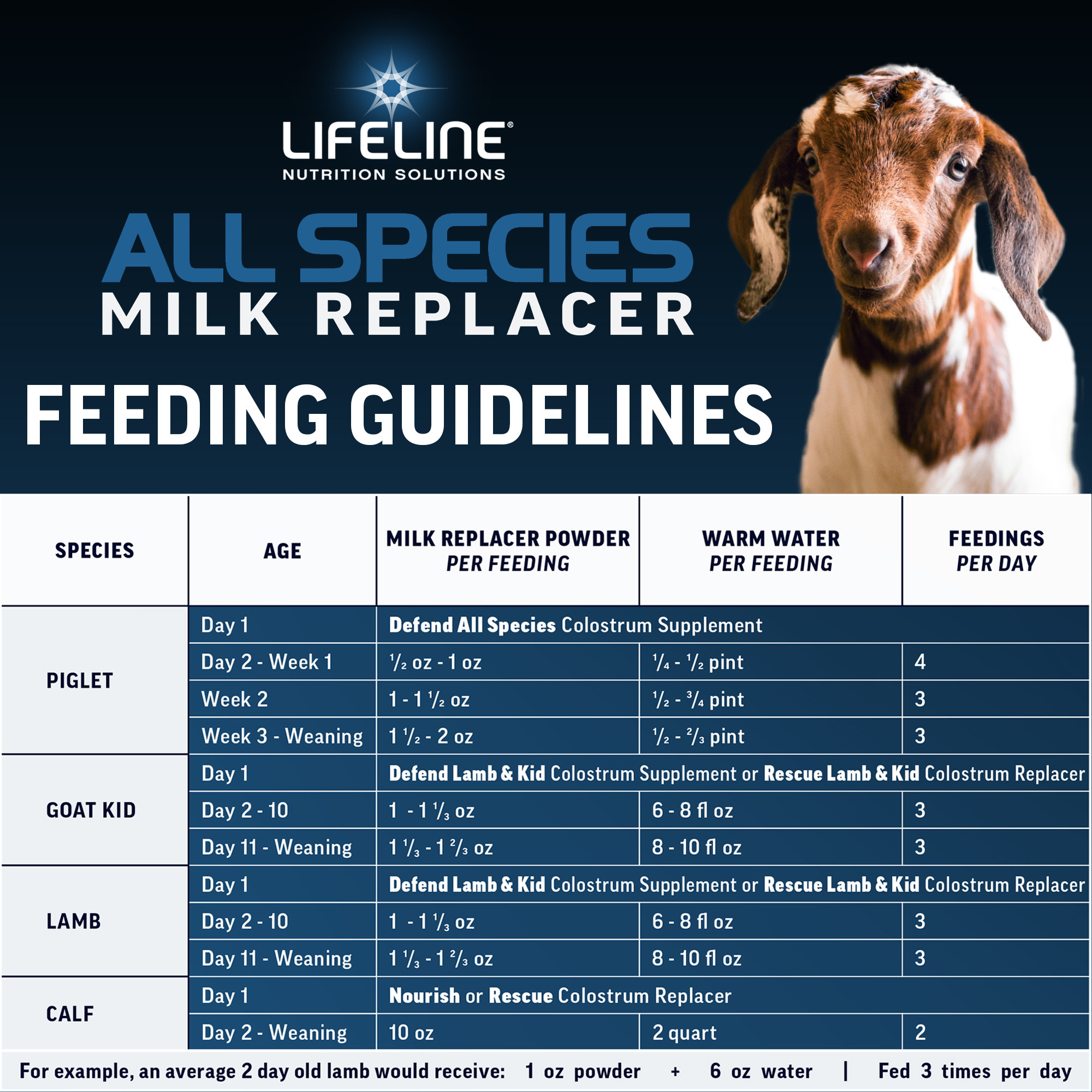 ANNUSO LIFELINE All Species Milk Replacer 23:21, 6lb Bag