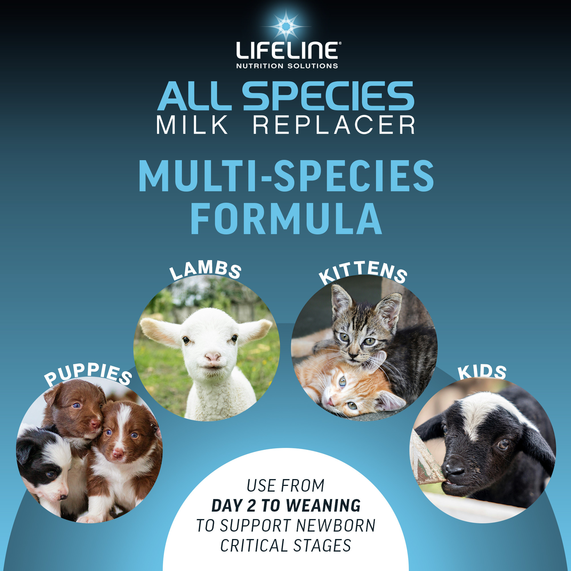 ANNUSO LIFELINE All Species Milk Replacer 26:24, 4lb Bag