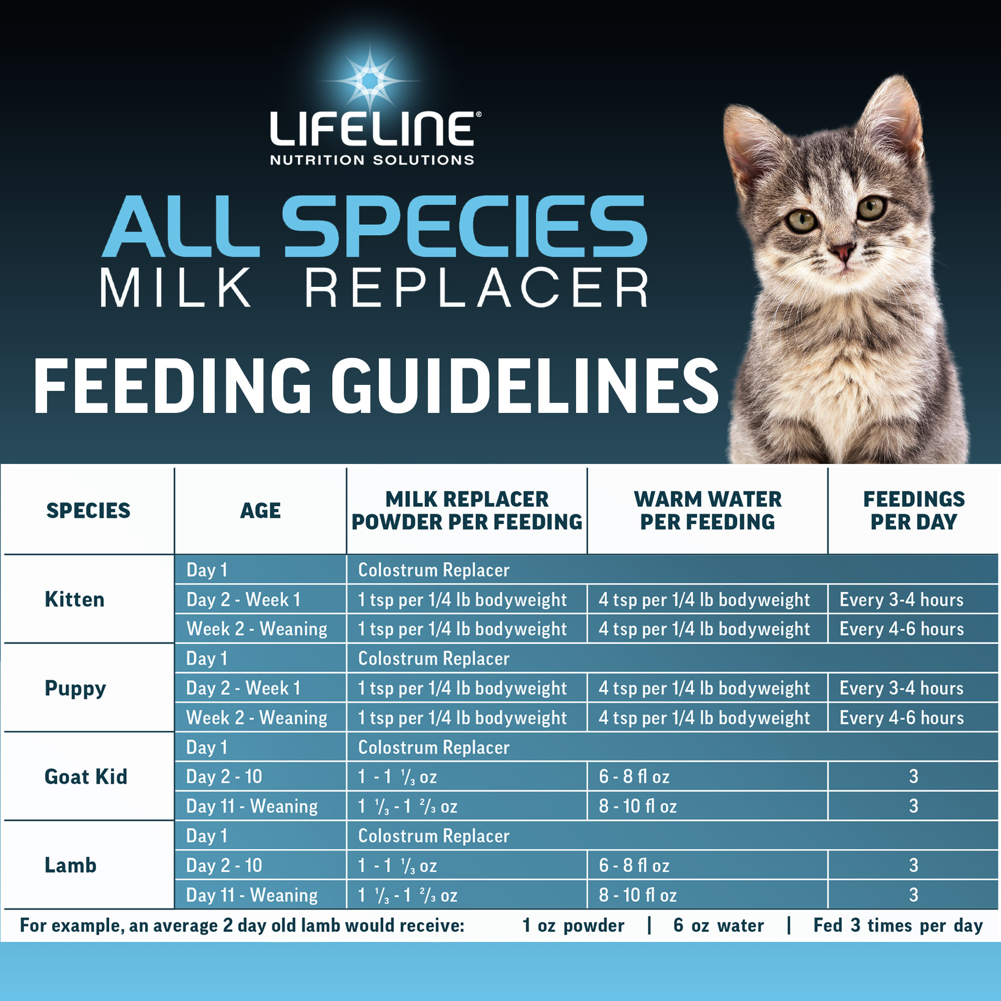 ANNUSO LIFELINE All Species Milk Replacer 26:24, 4lb Bag