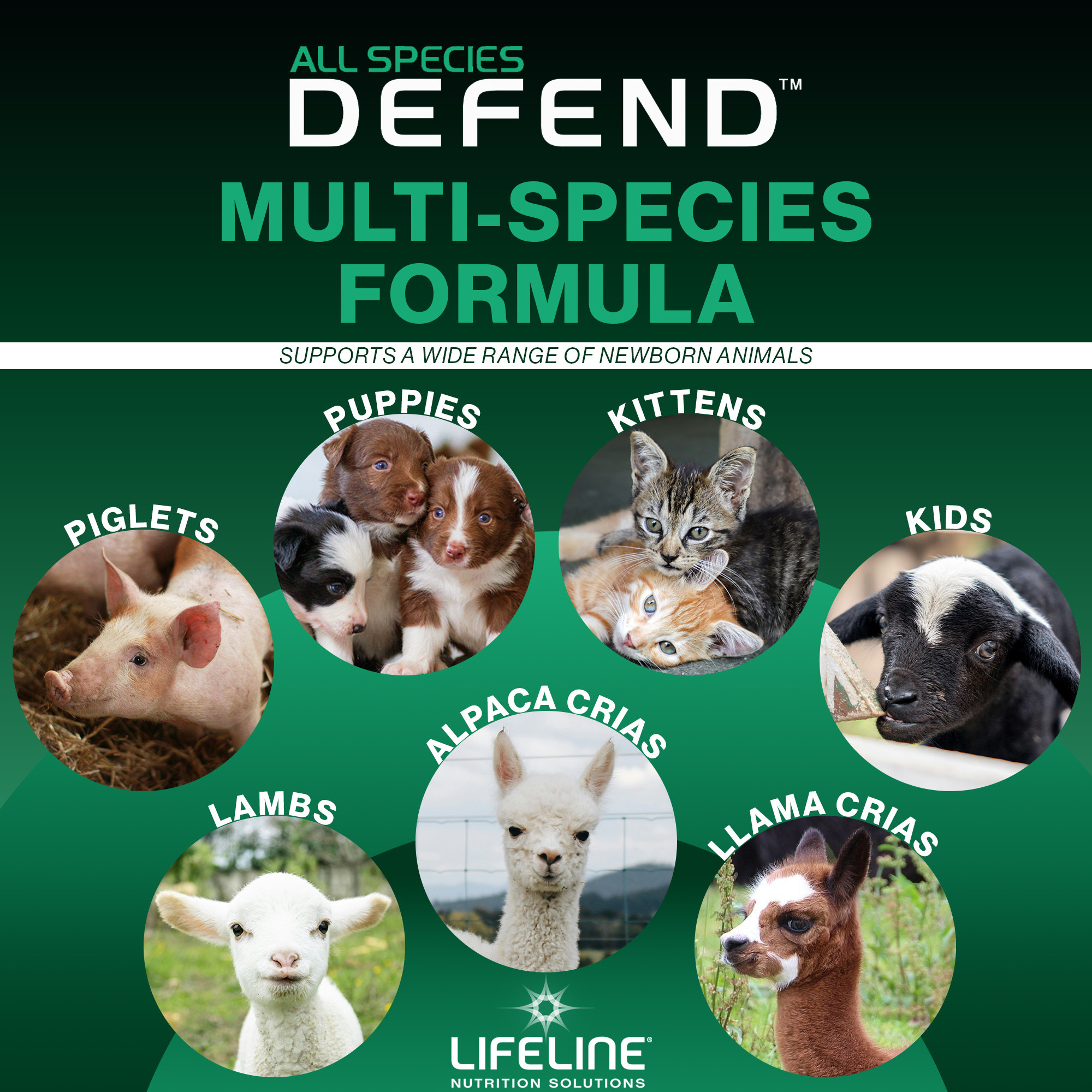 ANNUSO LIFELINE Defend All Species Colostrum Supplement, 1lb Bag