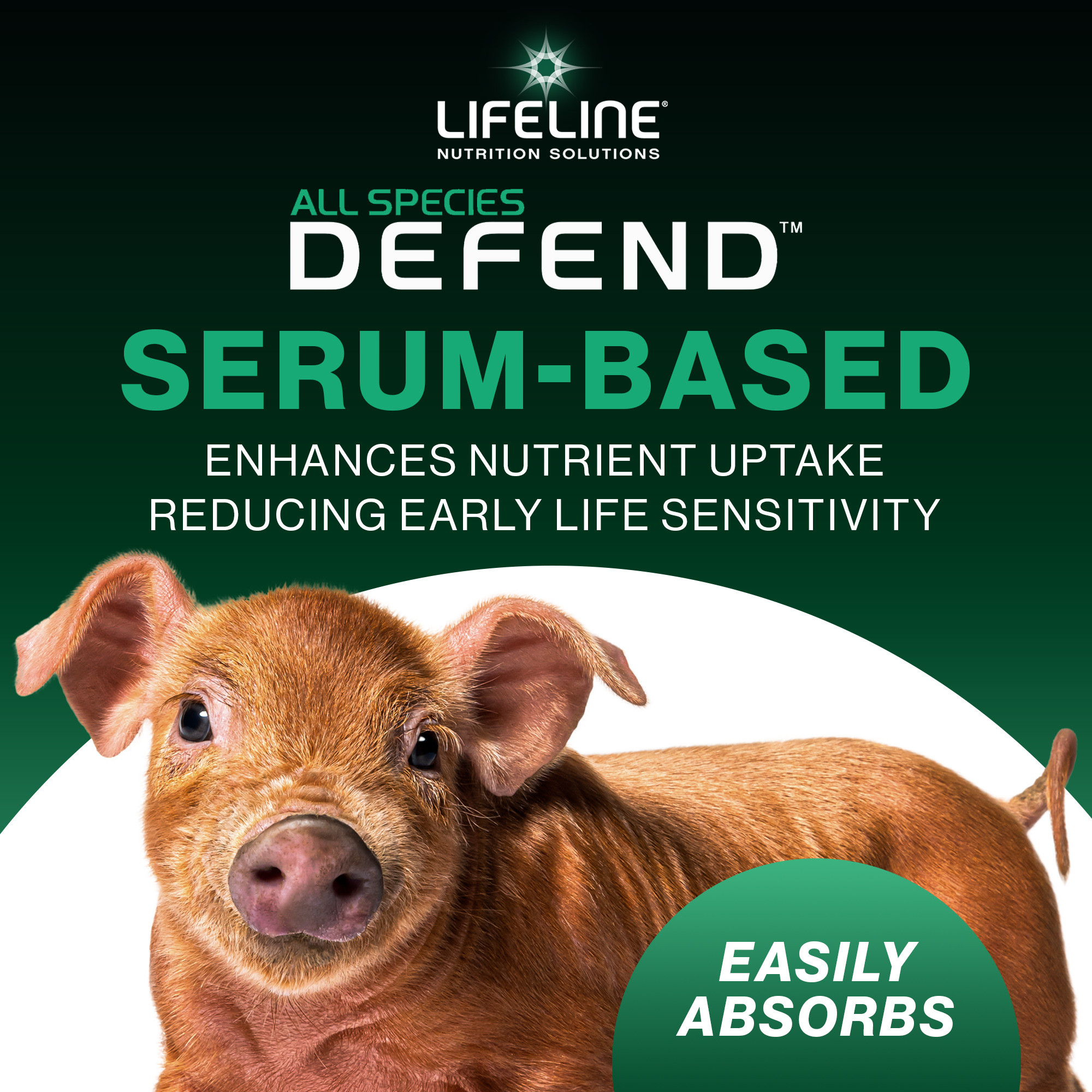 ANNUSO LIFELINE Defend All Species Colostrum Supplement, 1lb Bag
