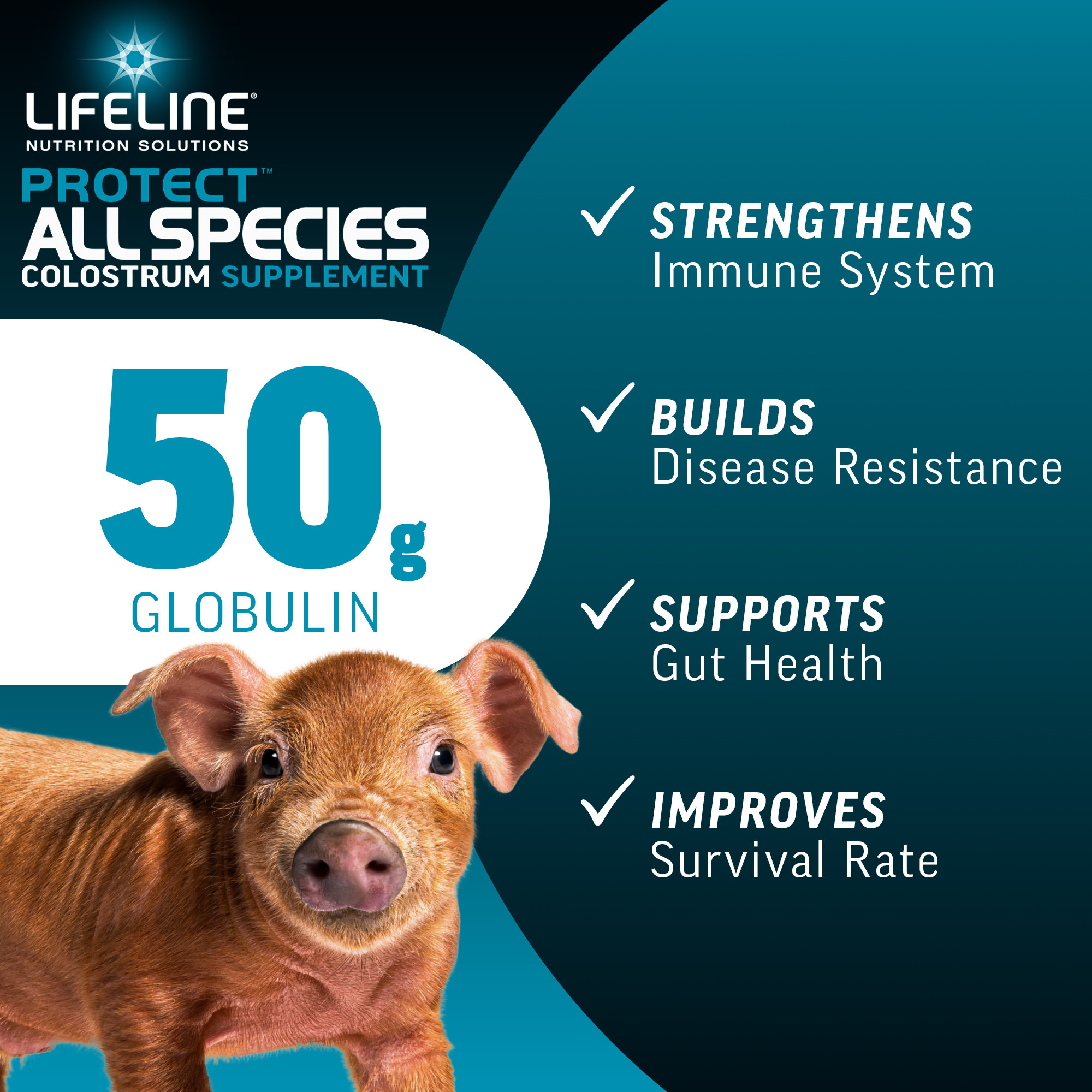 ANNUSO LIFELINE Protect All Species Colostrum Supplement, 1lb Bag