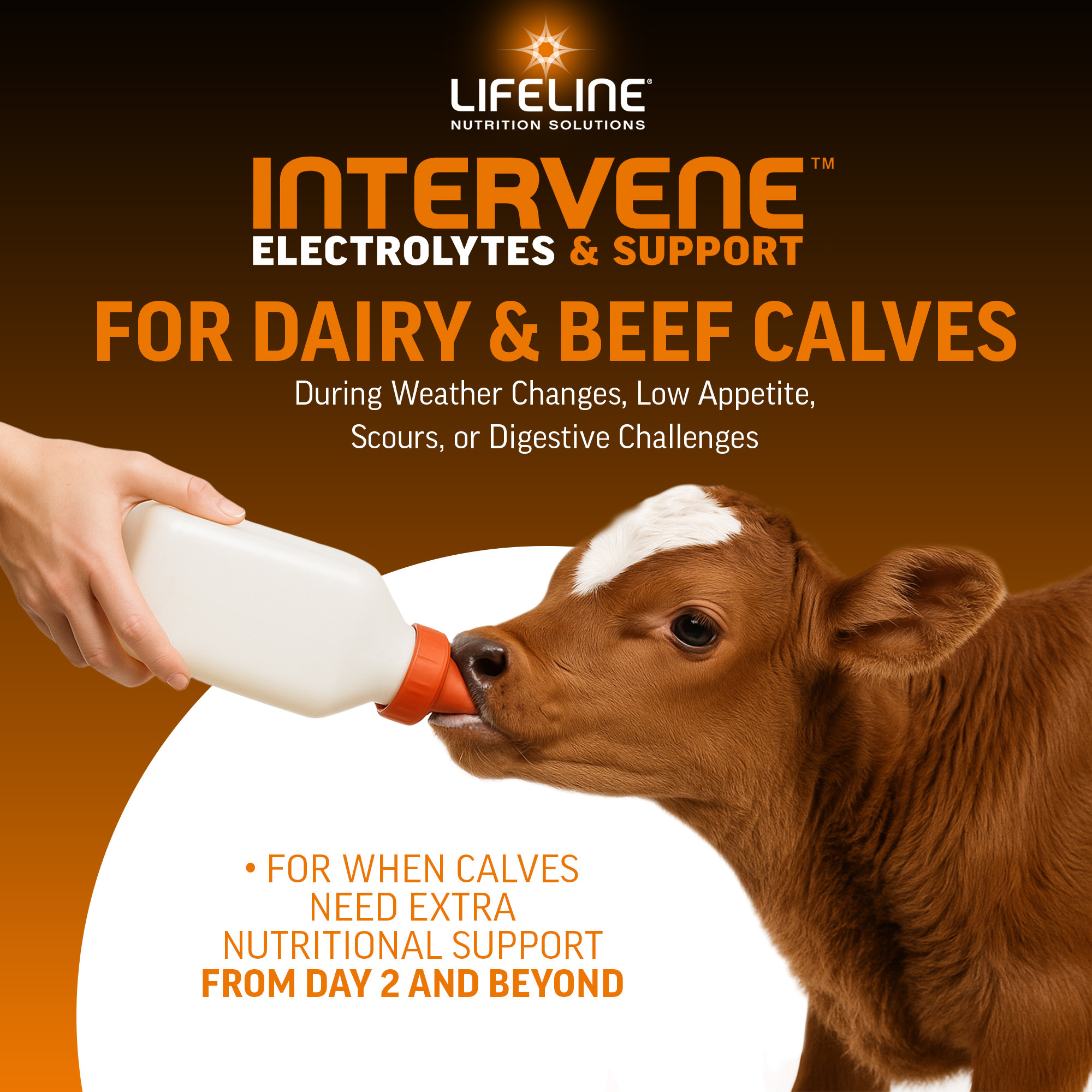 ANNUSO LIFELINE Intervene Electrolytes & Immune Support for Calves, 1lb Bag