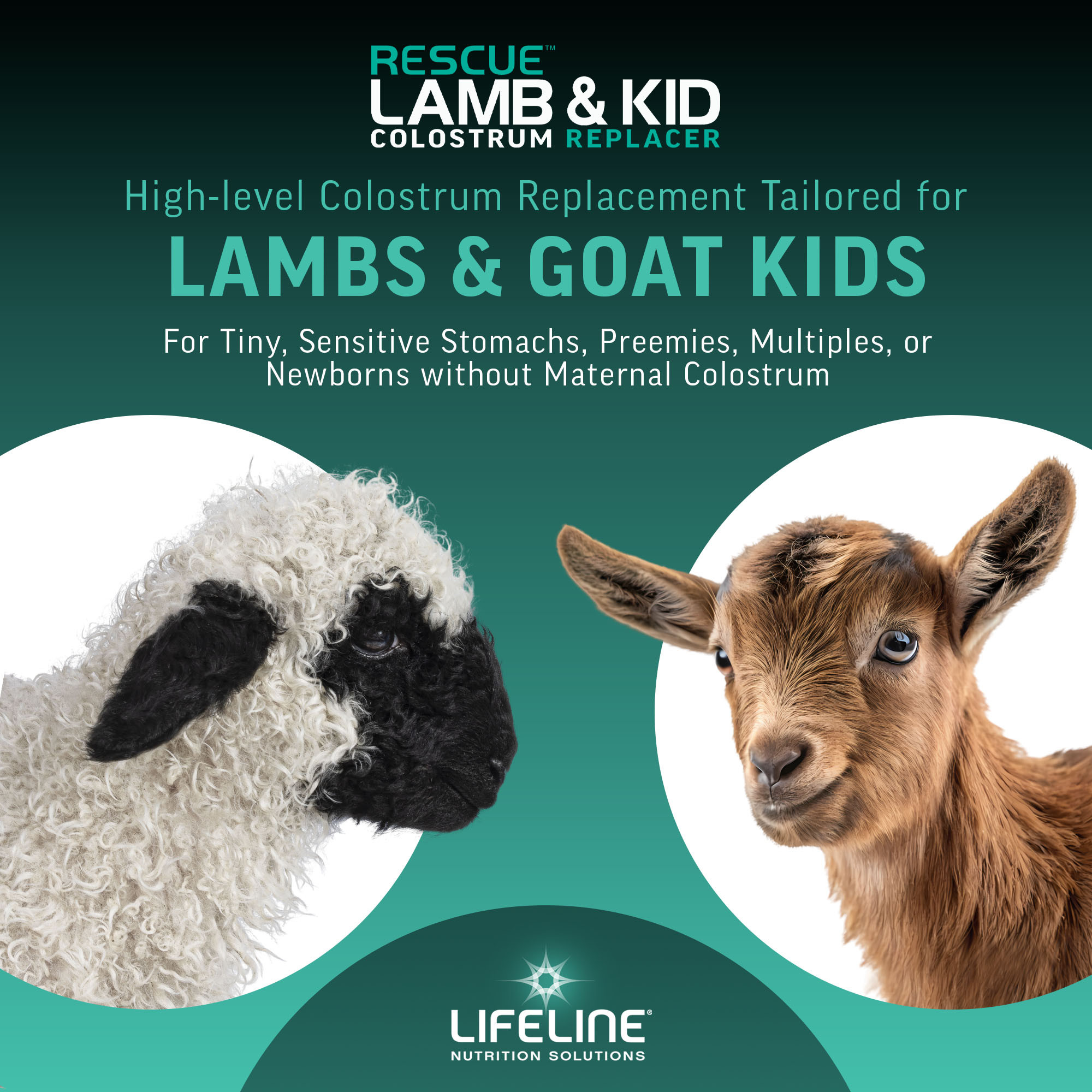 ANNUSO LIFELINE Rescue Lamb & Kid Colostrum Replacer, 1.3lb Bag