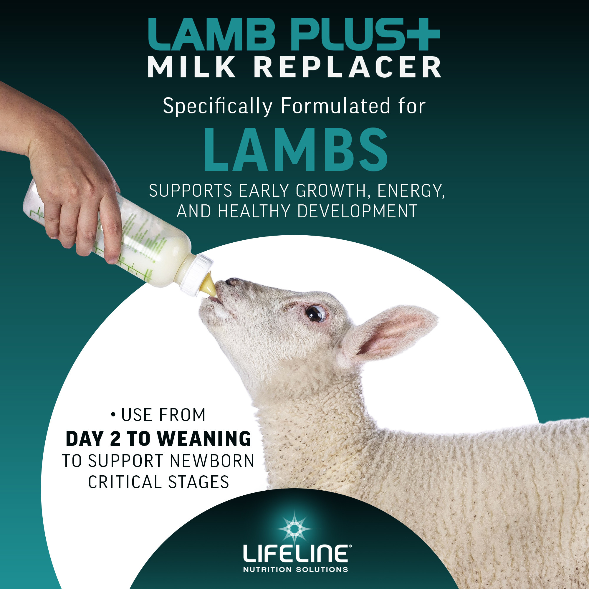 ANNUSO LIFELINE Lamb Plus+ Milk Replacer