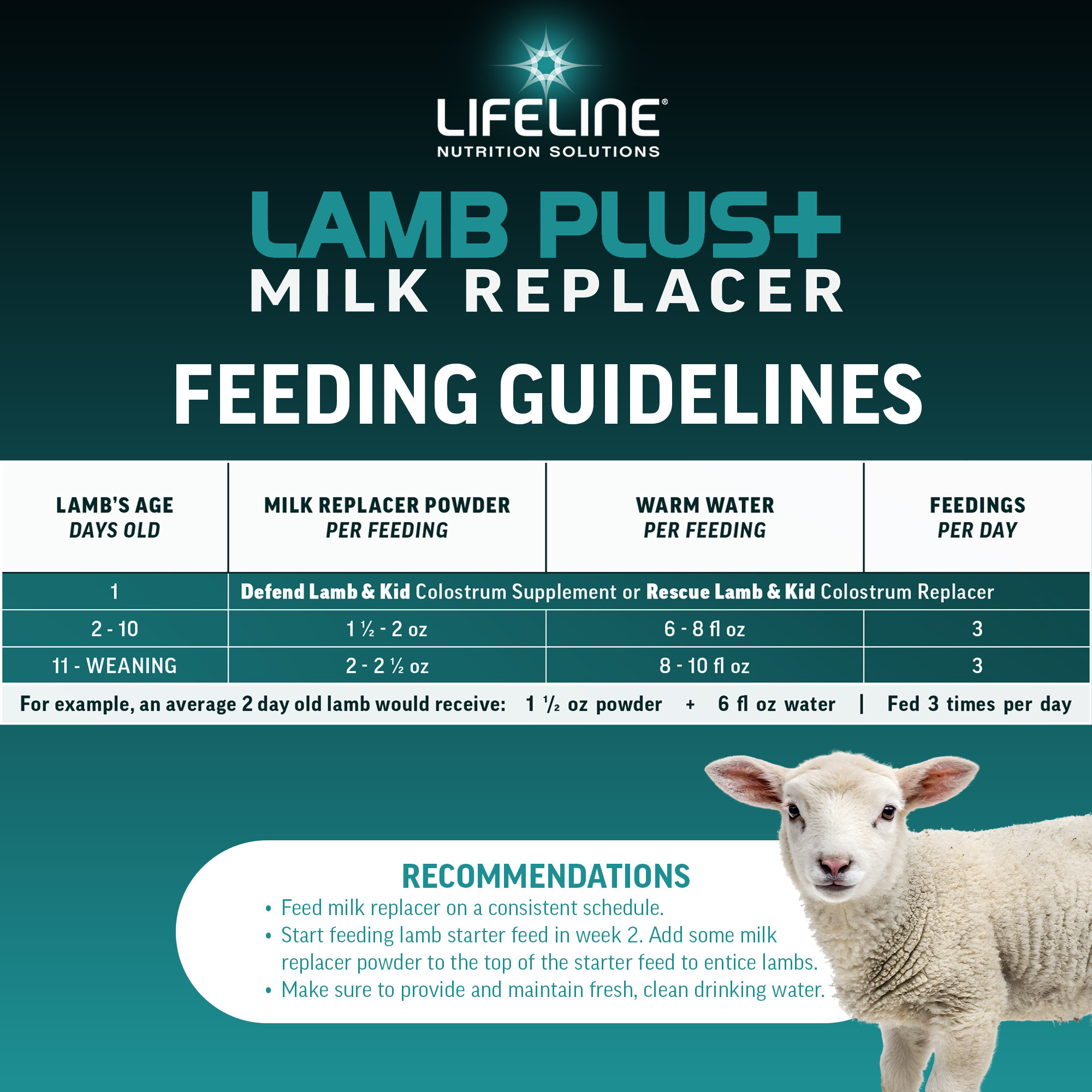 ANNUSO LIFELINE Lamb Plus+ Milk Replacer
