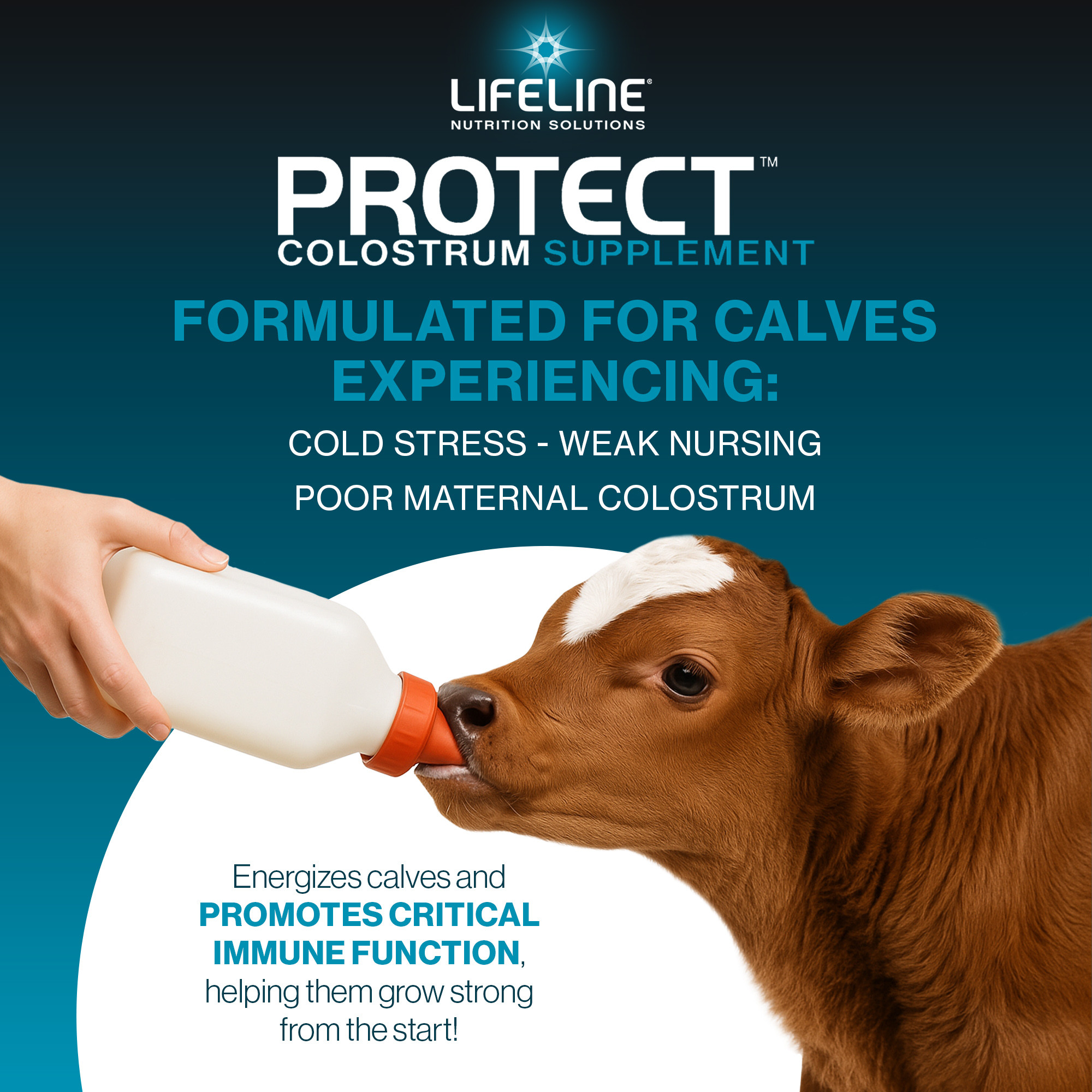 ANNUSO LIFELINE Protect Colostrum Supplement for Calves