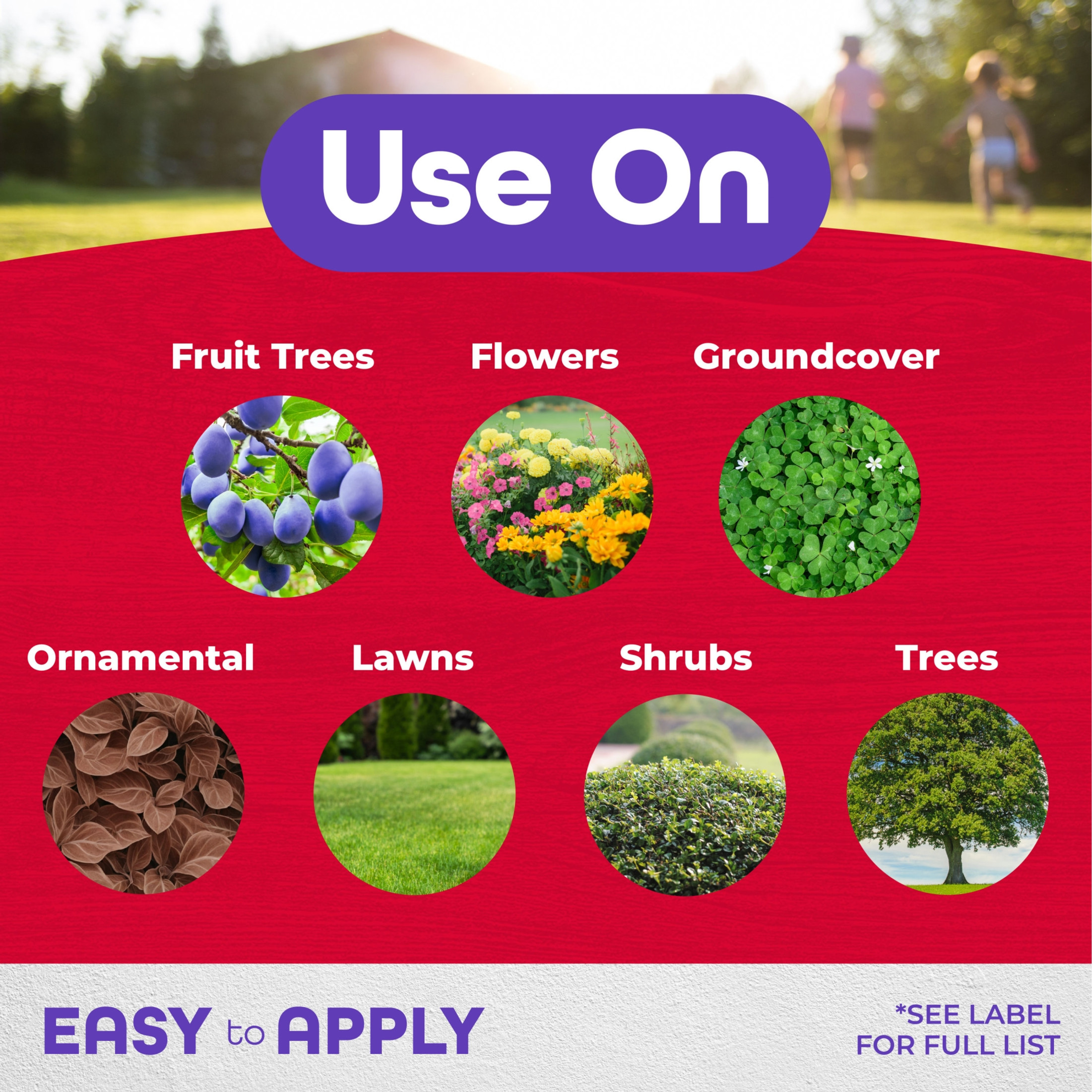 Bonide Annual Tree & Shrub Insect Control with Systemaxx, Year Long Protection, Concentrate