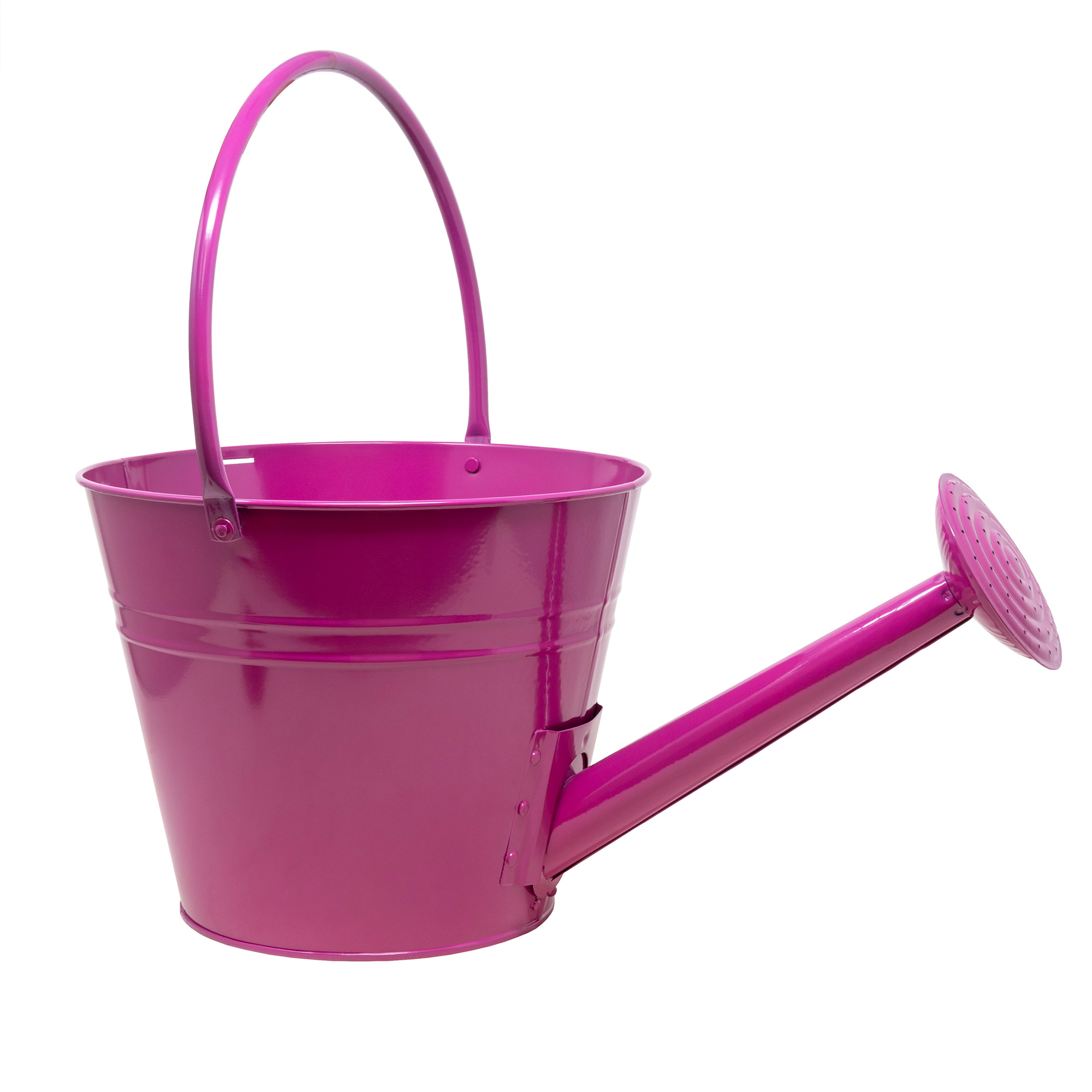 Very Cool Stuff Metal Watering Can Planter