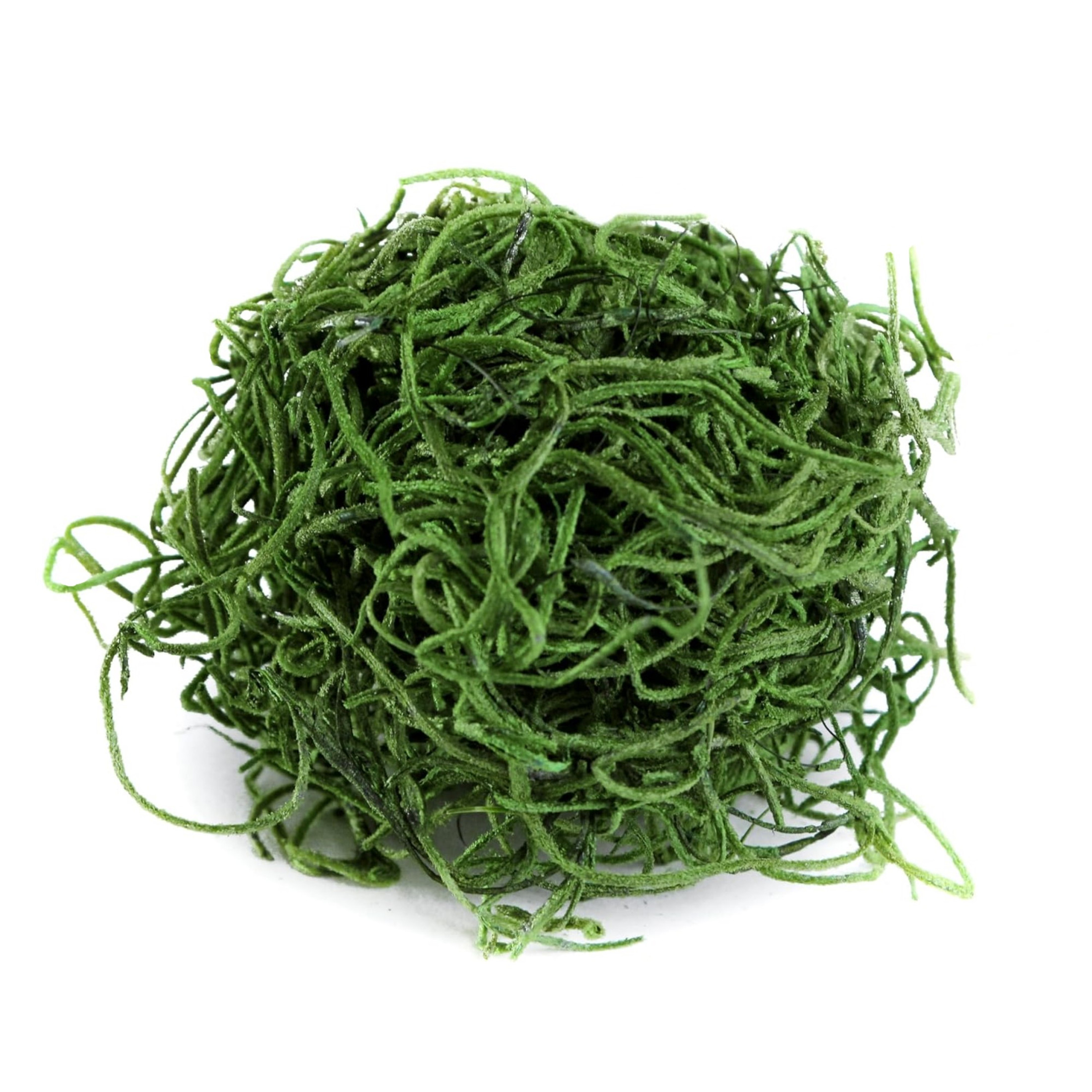 SuperMoss Preserved Spanish Moss, 2oz
