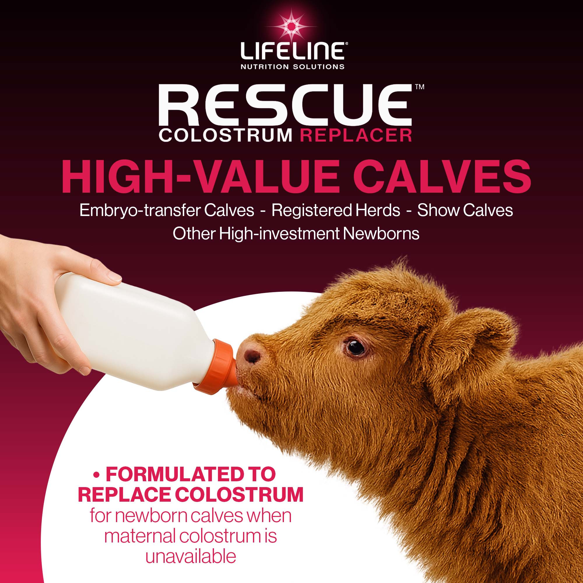 ANNUSO LIFELINE Rescue High-Level Colostrum Replacer for Calves