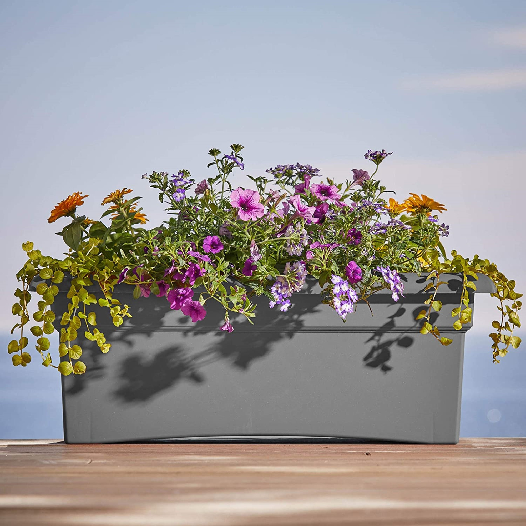 Bloem Veranda Deck Box Planter, 26in