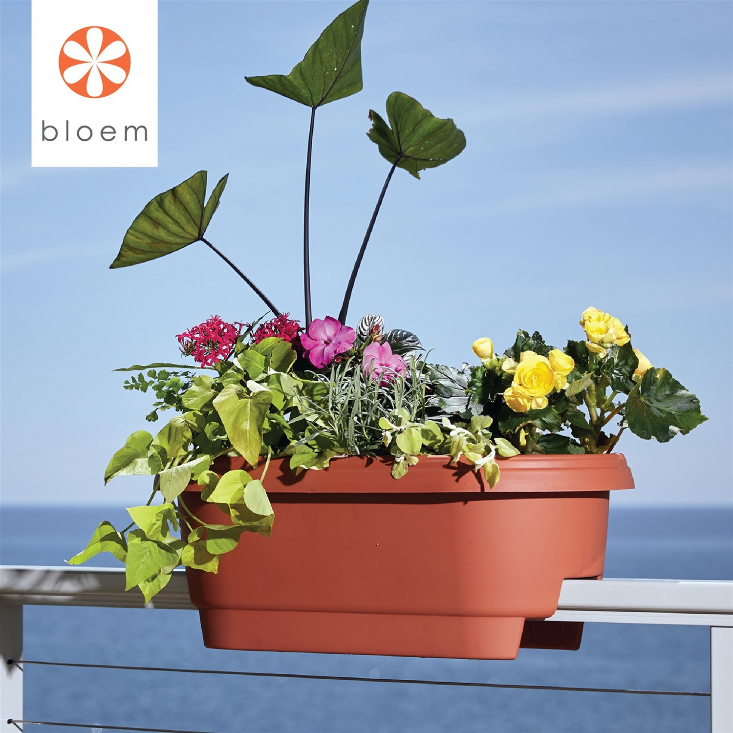 Bloem Classic Oval Deck Rail Planter, 24 Inches
