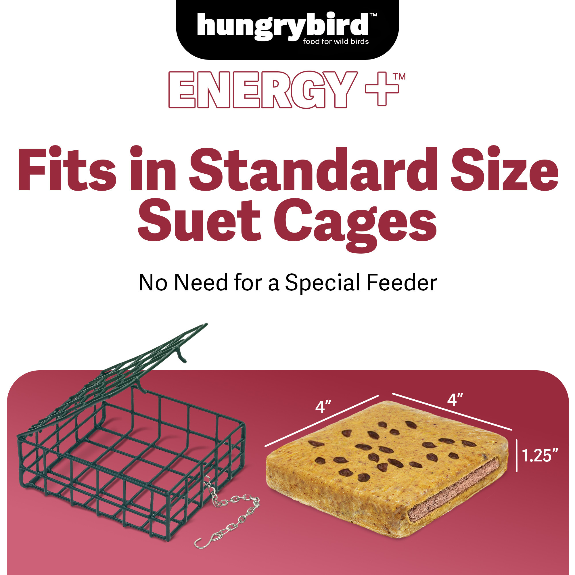 Hungrybird Energy+ No-Melt, High-Protein Suet Cake with Cranberry Filling for Outside Wild Bird Feeders