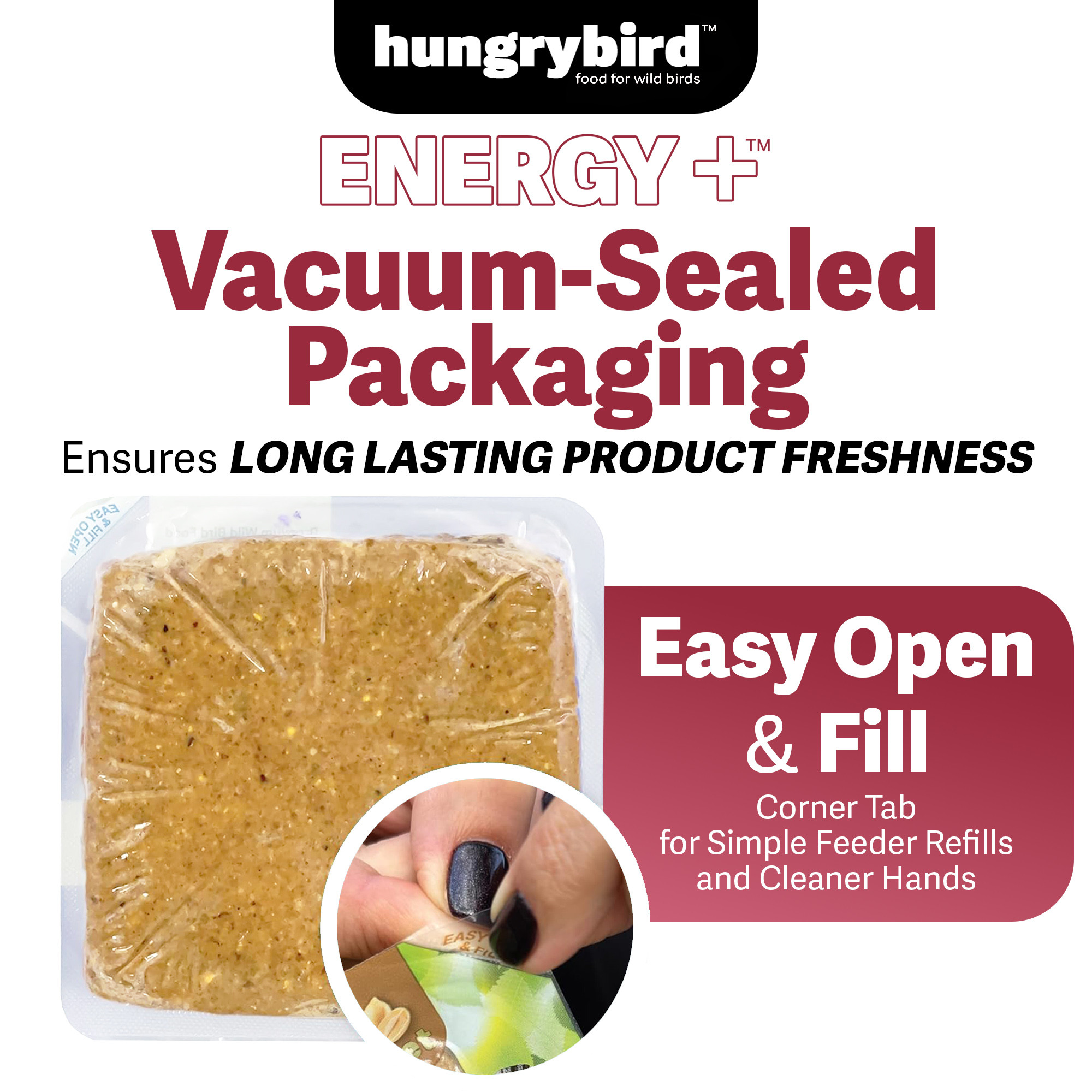 Hungrybird Energy+ No-Melt, High-Protein Suet Cake with Cranberry Filling for Outside Wild Bird Feeders