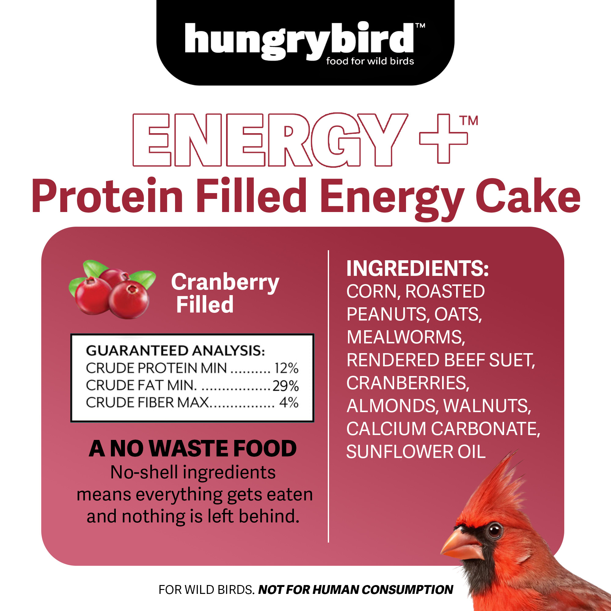 Hungrybird Energy+ No-Melt, High-Protein Suet Cake with Cranberry Filling
