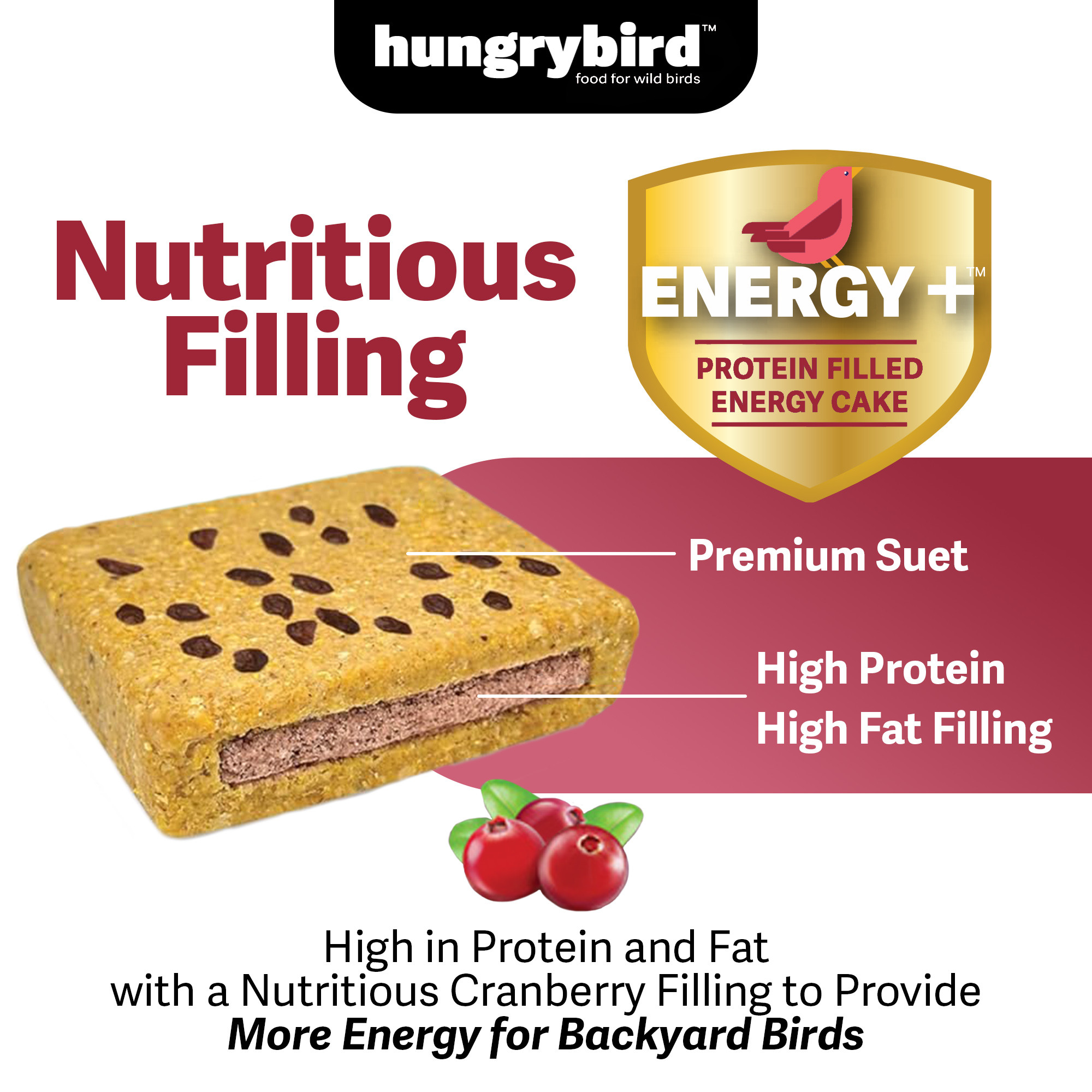 Hungrybird Energy+ No-Melt, High-Protein Suet Cake with Cranberry Filling