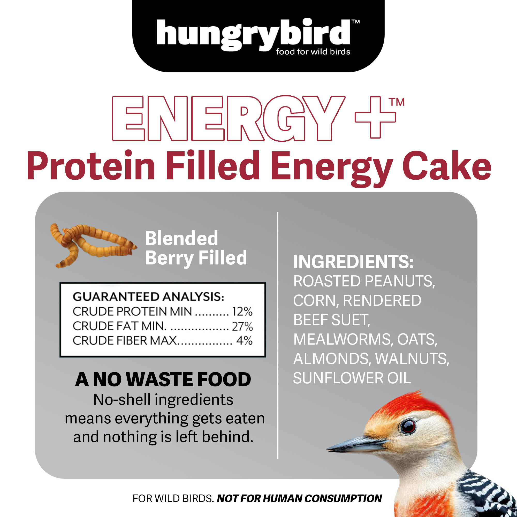 Hungrybird Energy+ No-Melt, High-Protein Suet Cake with Mealworm Filling for Outside Wild Bird Feeders