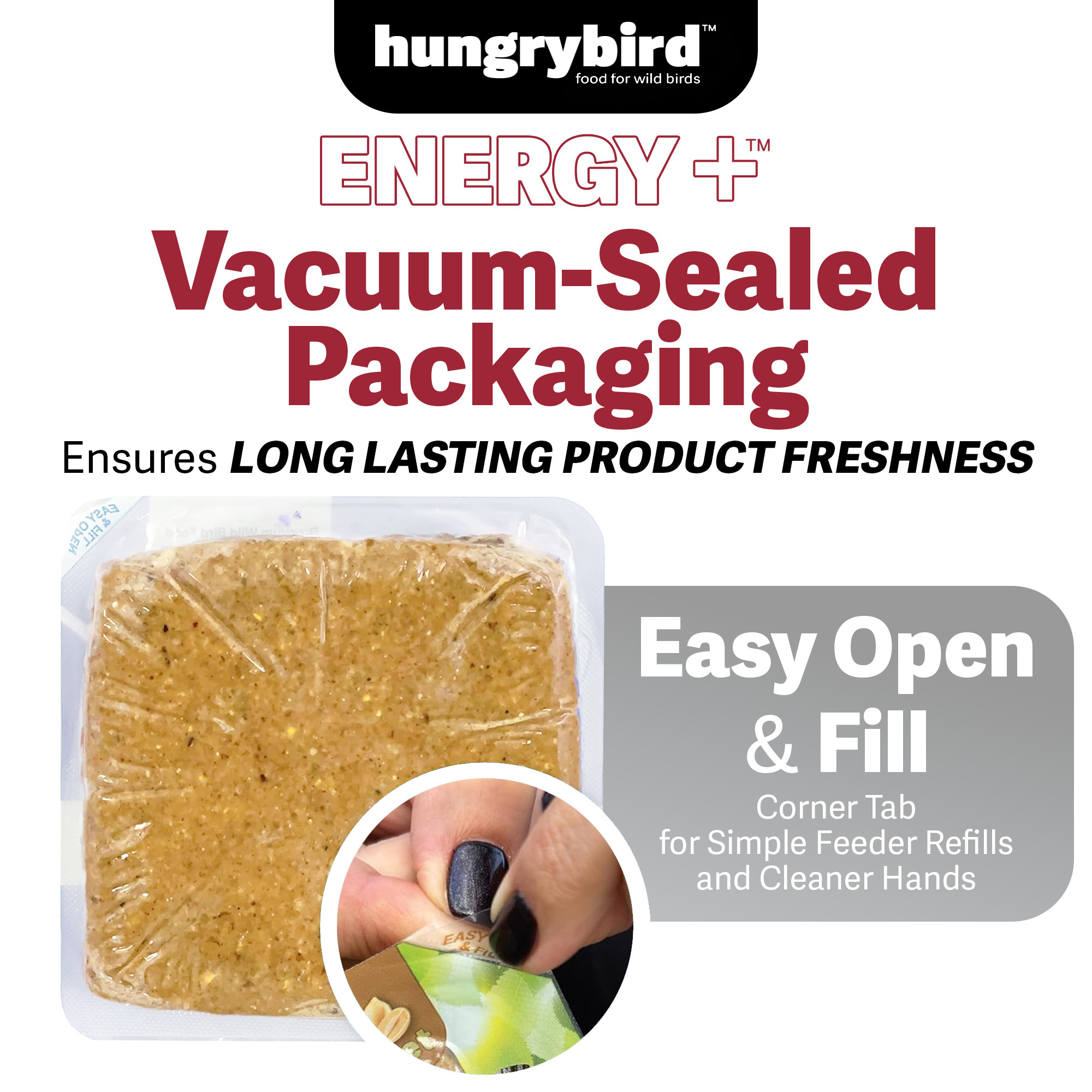 Hungrybird Energy+ No-Melt, High-Protein Suet Cake with Mealworm Filling for Outside Wild Bird Feeders