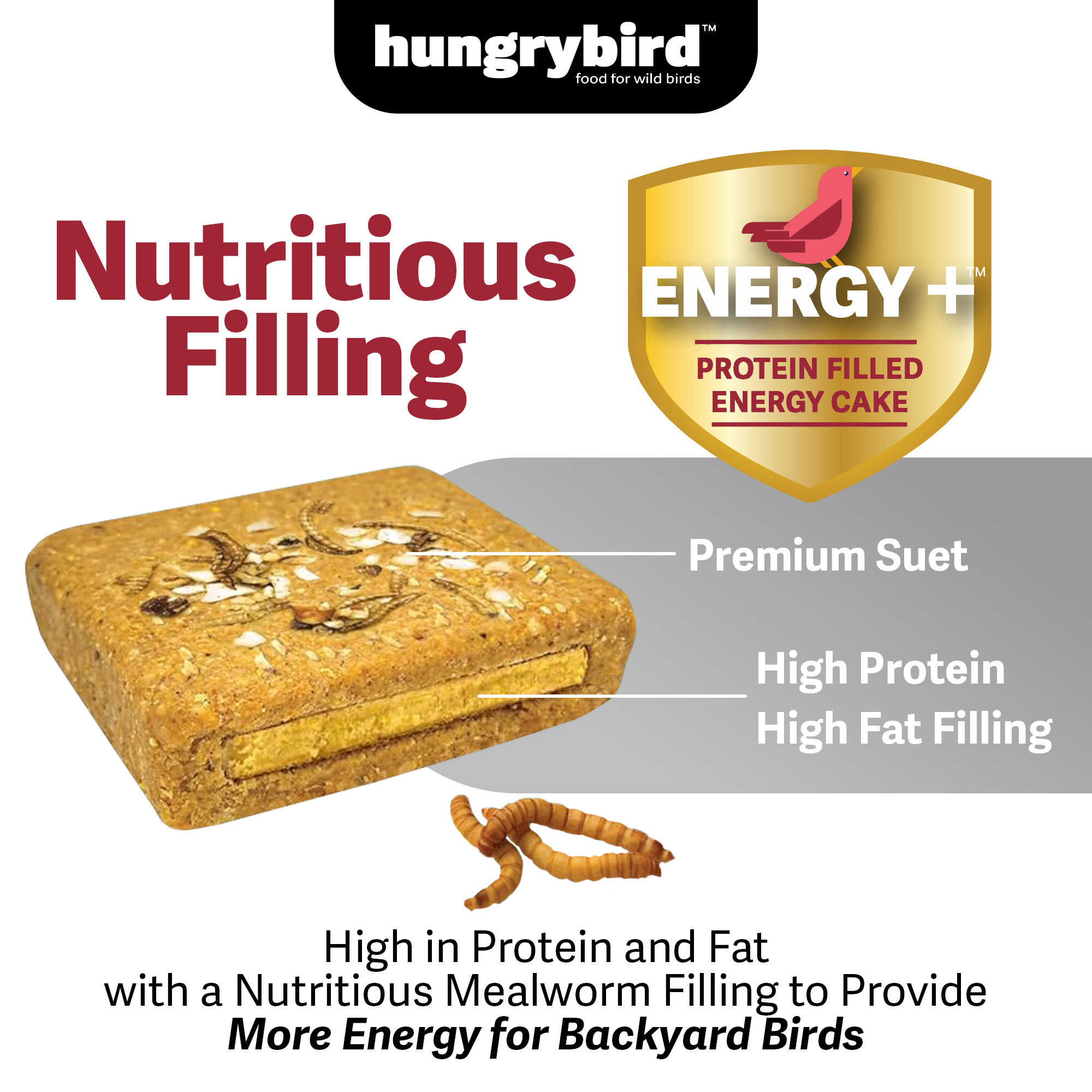 Hungrybird Energy+ No-Melt, High-Protein Suet Cake with Mealworm Filling