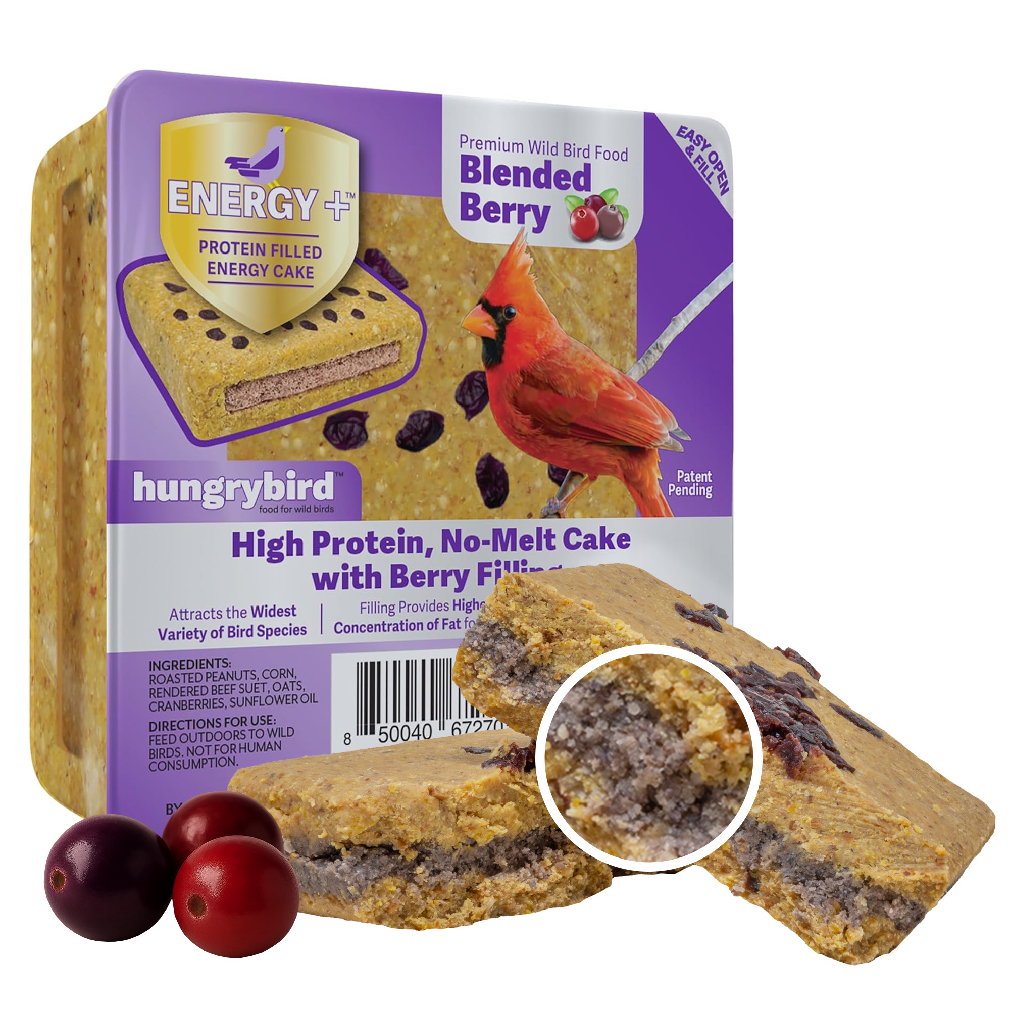Hungrybird Energy+ No-Melt, High-Protein Suet Cake with Berry Filling for Outside Wild Bird Feeders